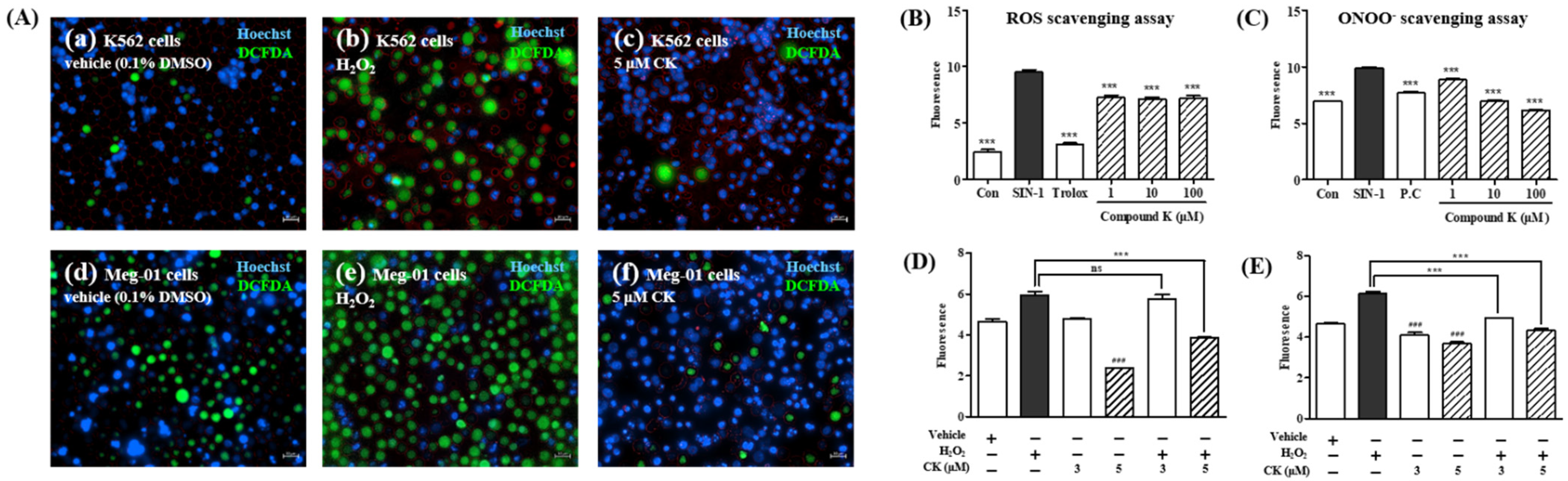 Biomolecules 14 01257 g0a1