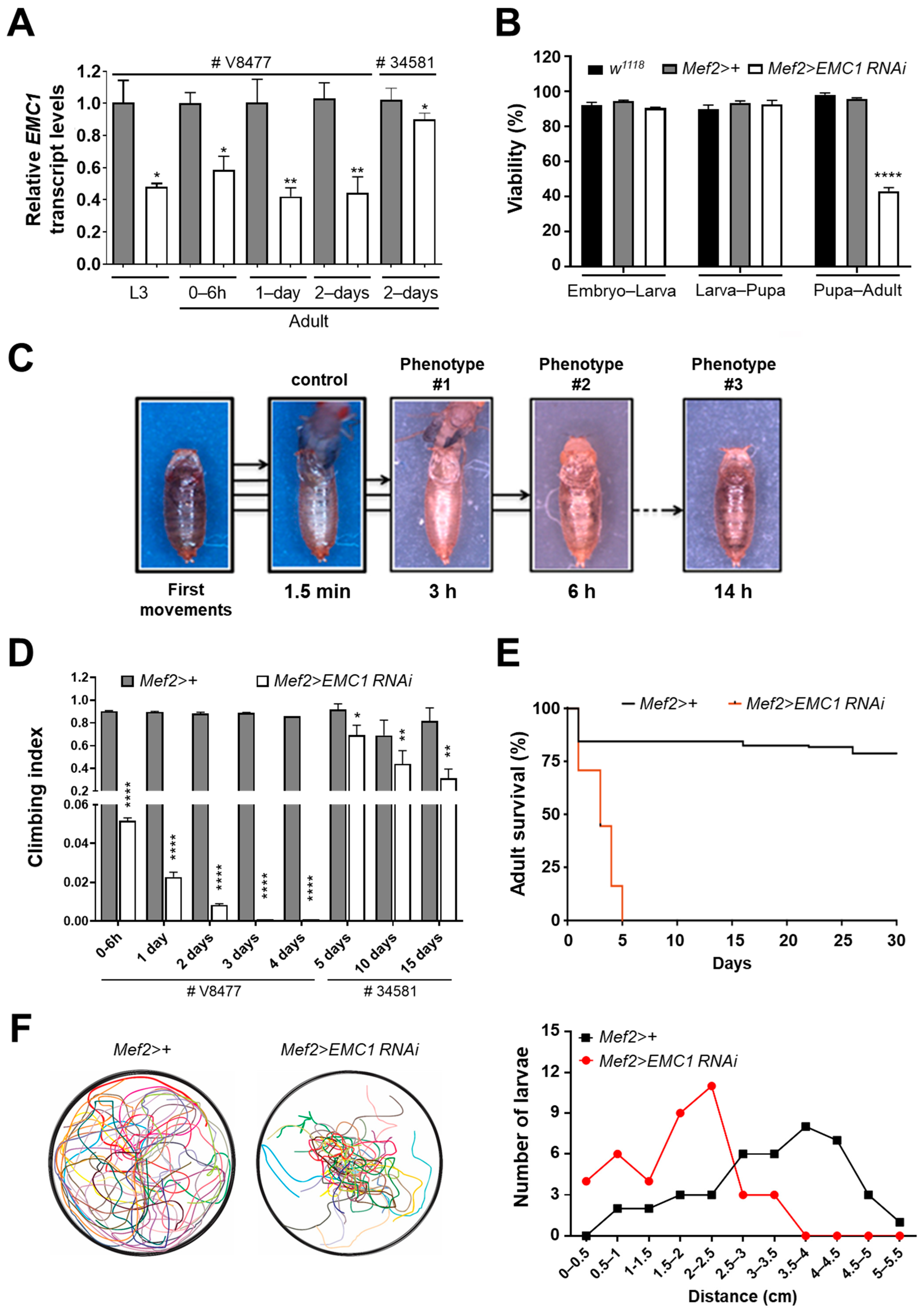 Biomolecules 14 01258 g001