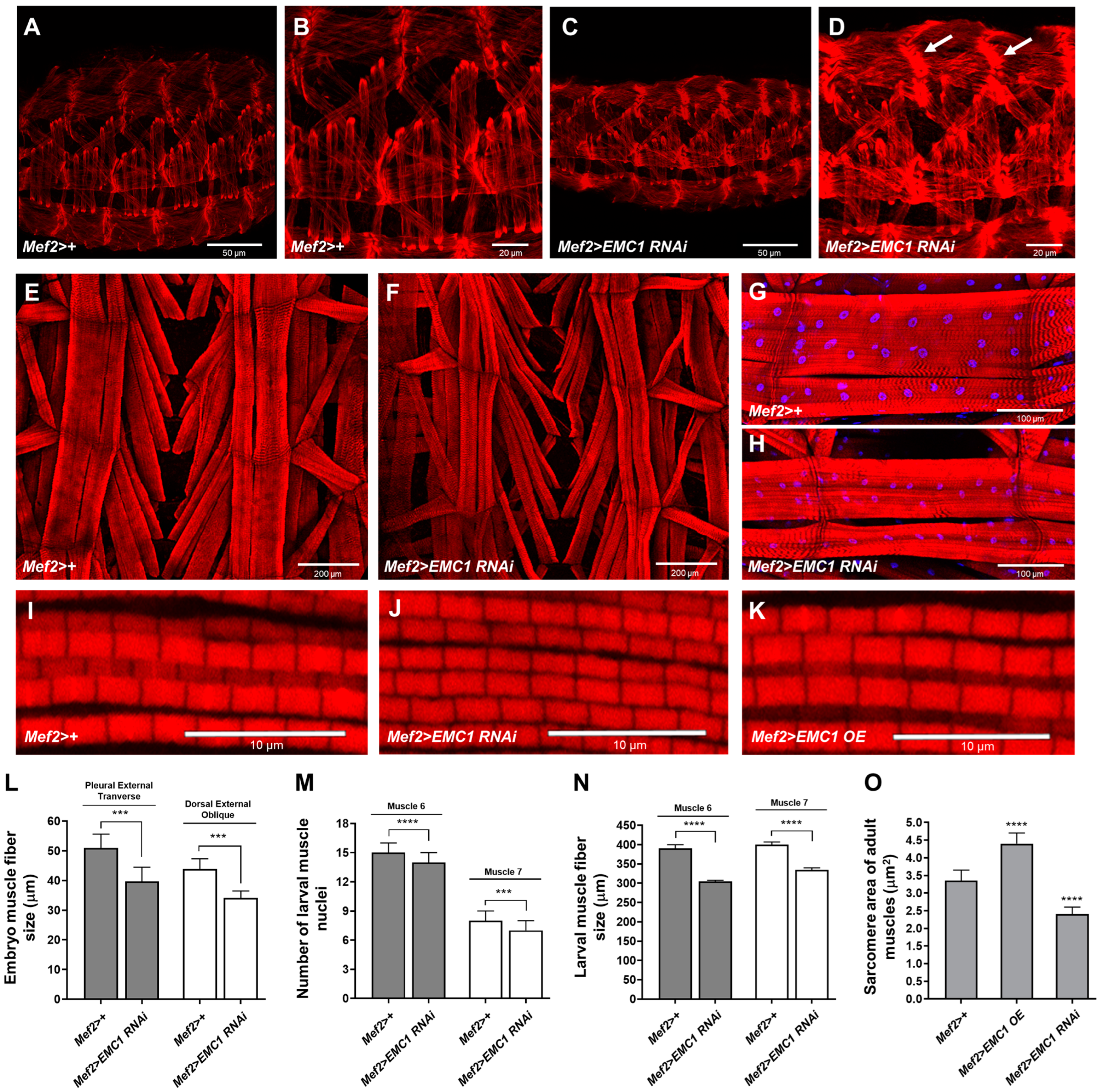 Biomolecules 14 01258 g002