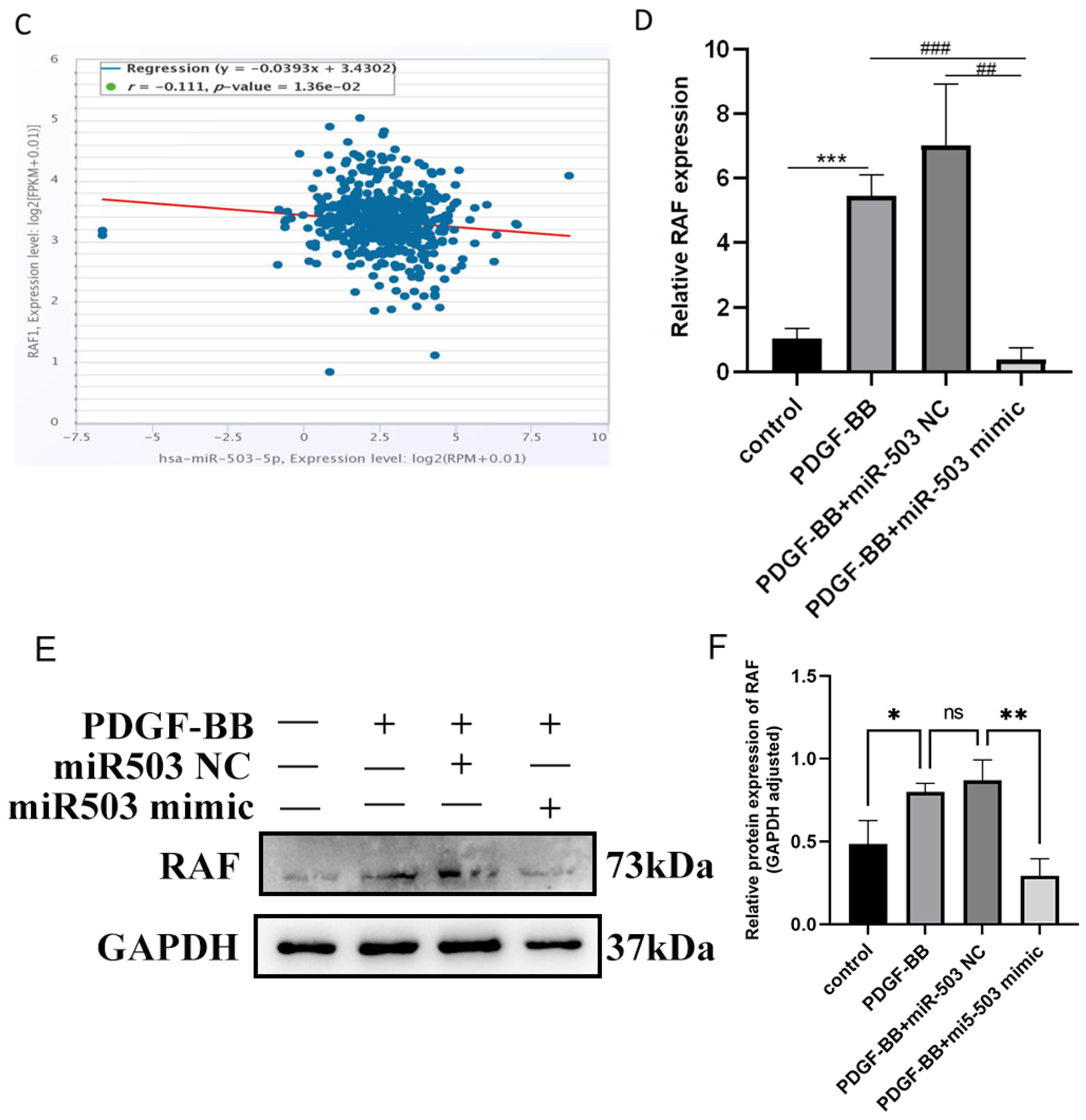 Biomolecules 14 01259 g004b