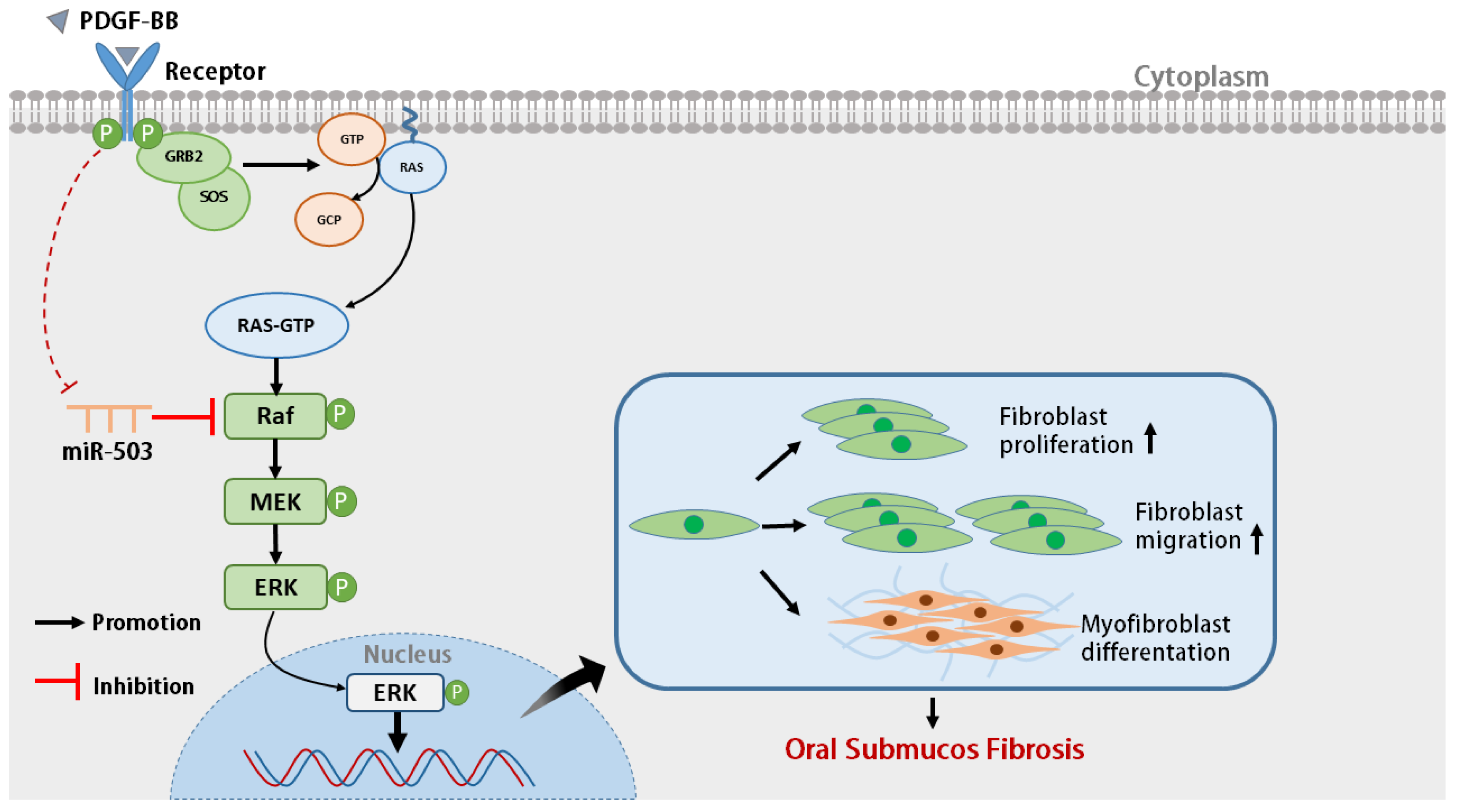 Biomolecules 14 01259 g006