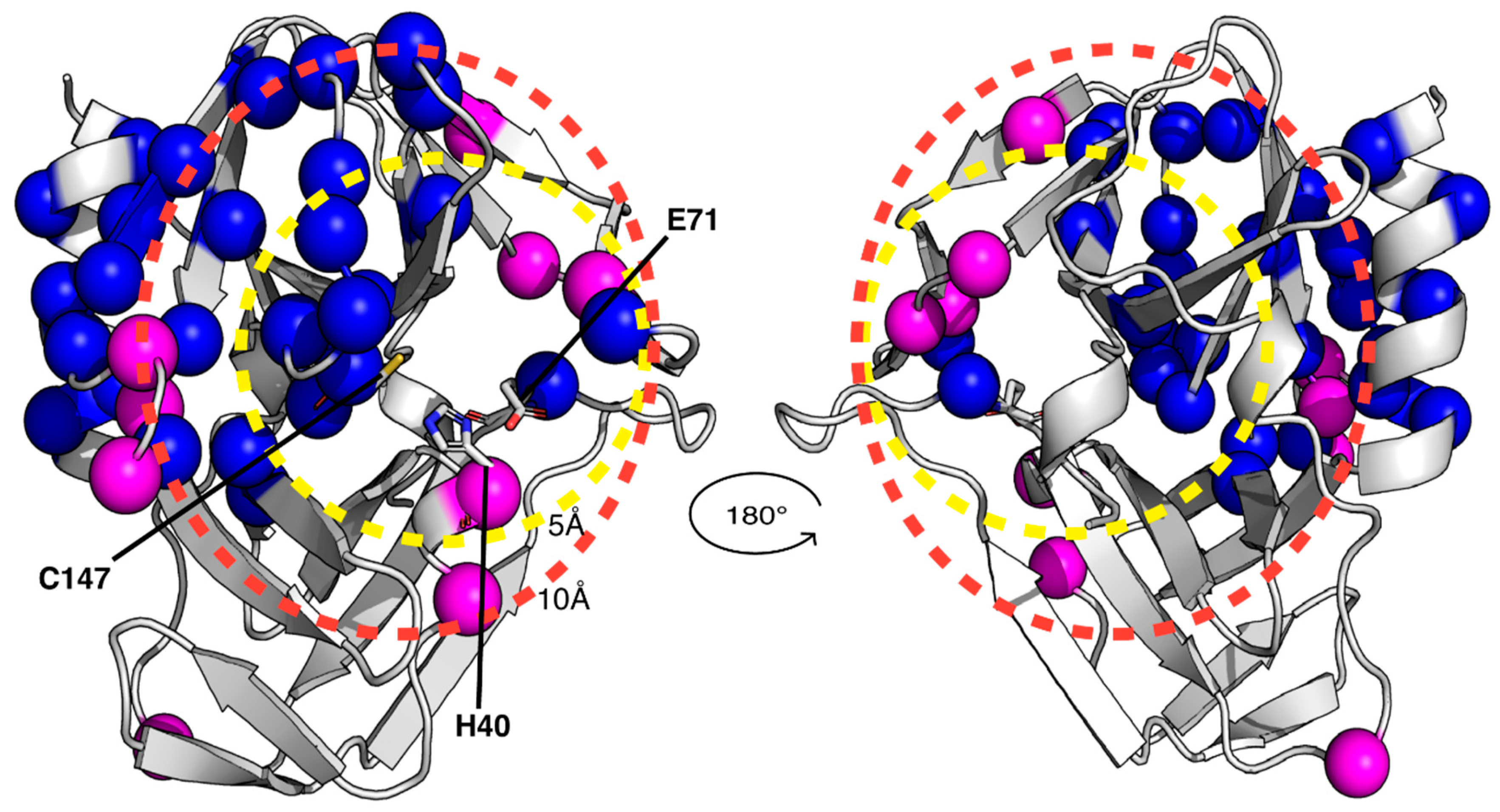 Biomolecules 14 01260 g003
