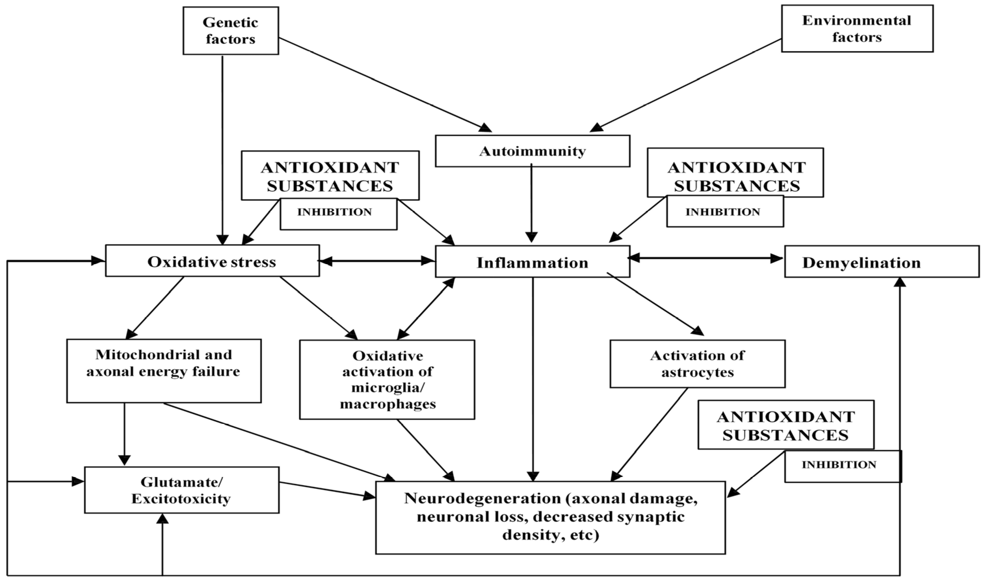 Biomolecules 14 01266 g016