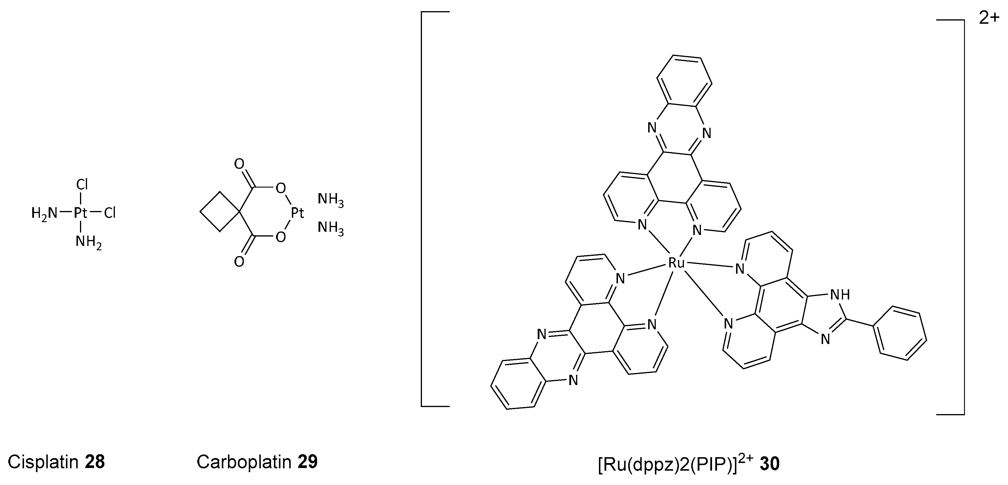 Biomolecules 14 01269 g012