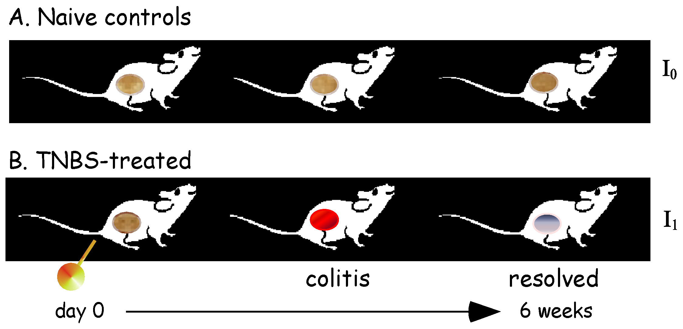 Biomolecules 14 01271 g003