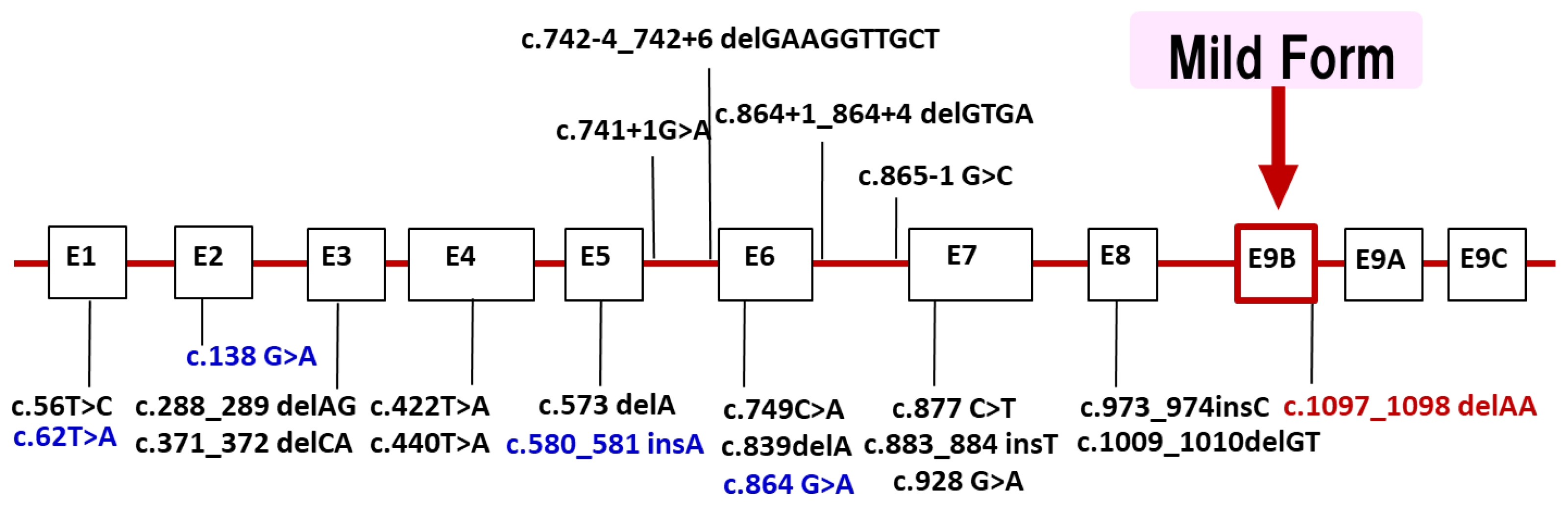 Biomolecules 14 01272 g003