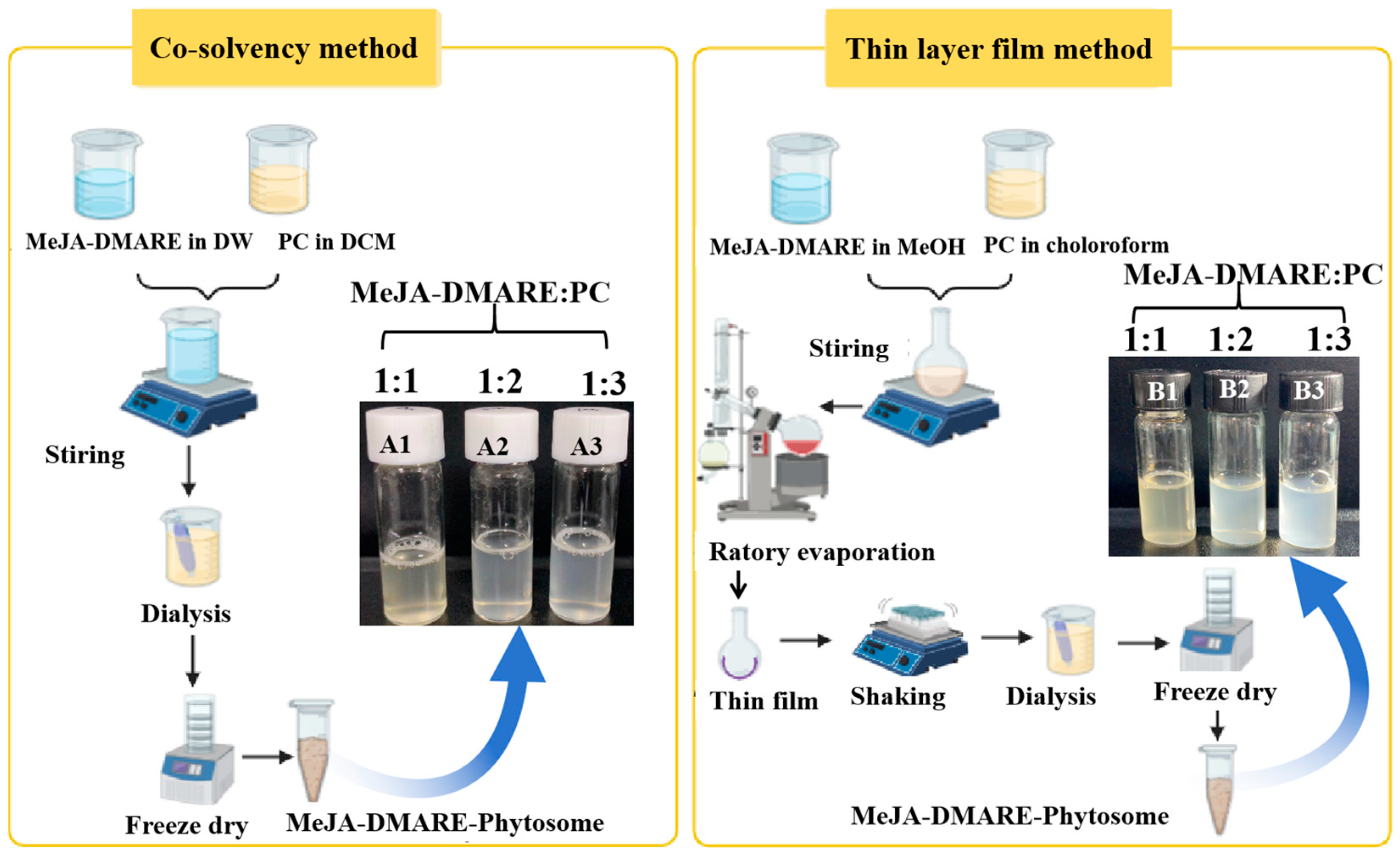 Biomolecules 14 01273 g002 Biomolecules 14 01273 g002