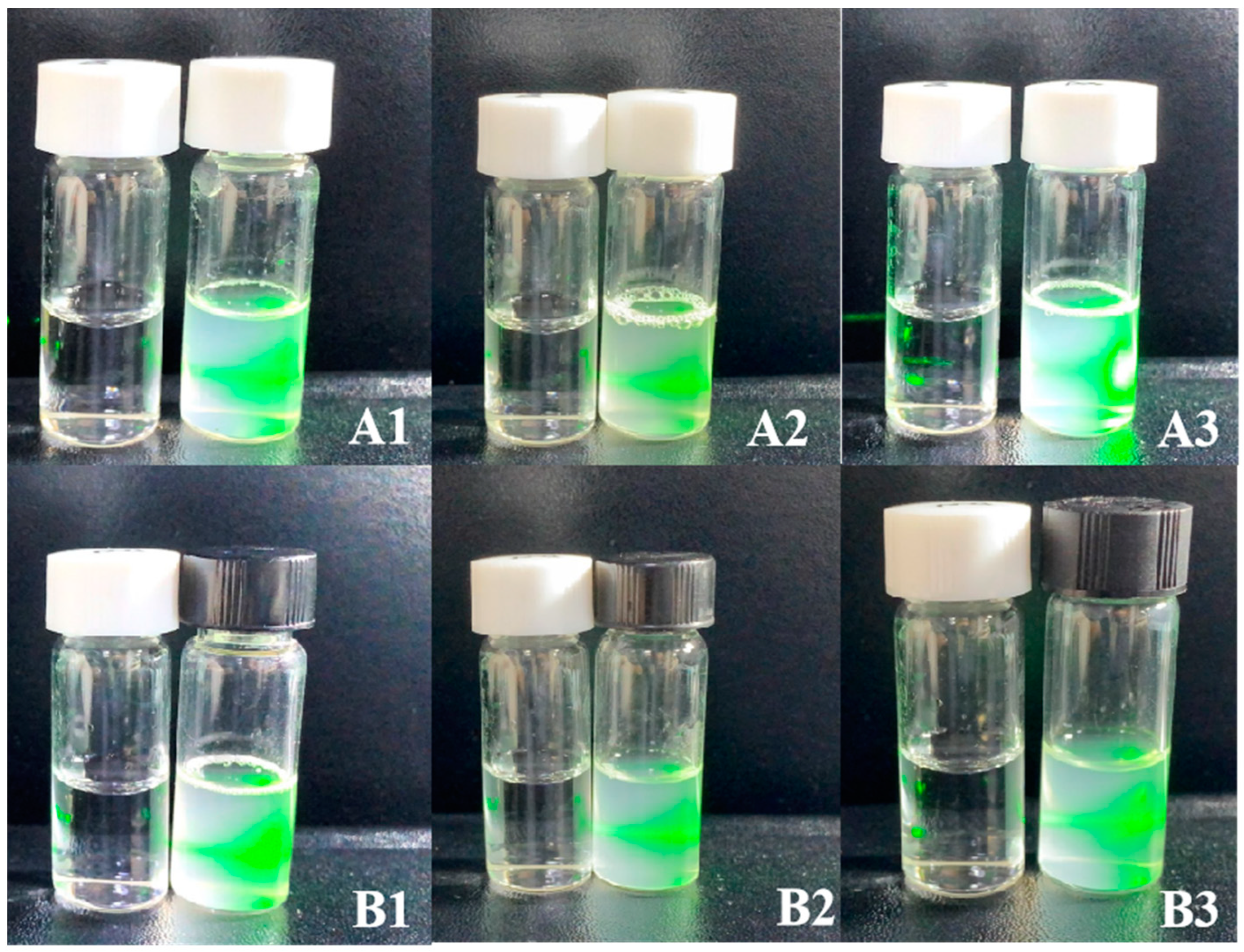 Biomolecules 14 01273 g004 Biomolecules 14 01273 g004