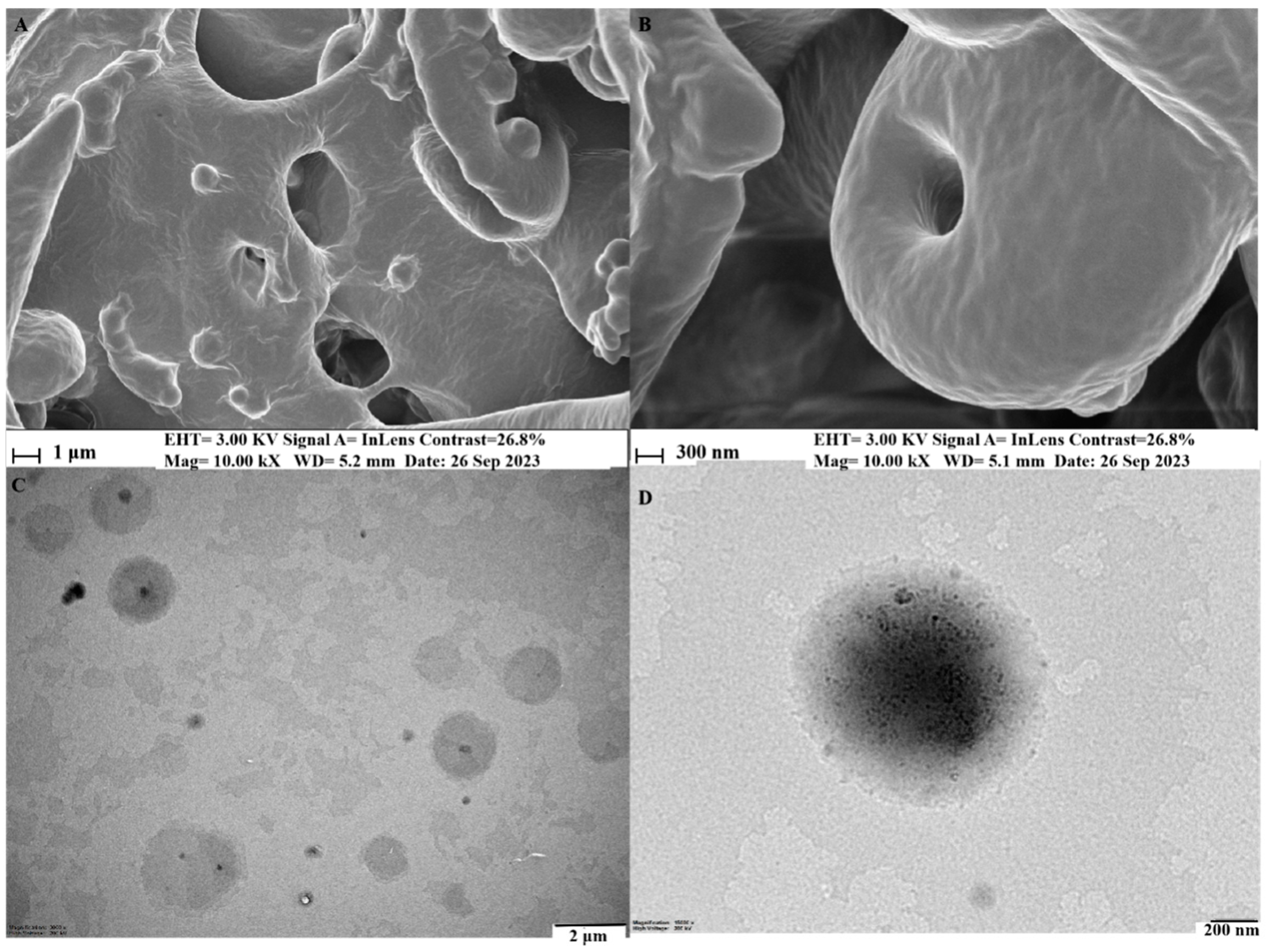 Biomolecules 14 01273 g005 Biomolecules 14 01273 g005