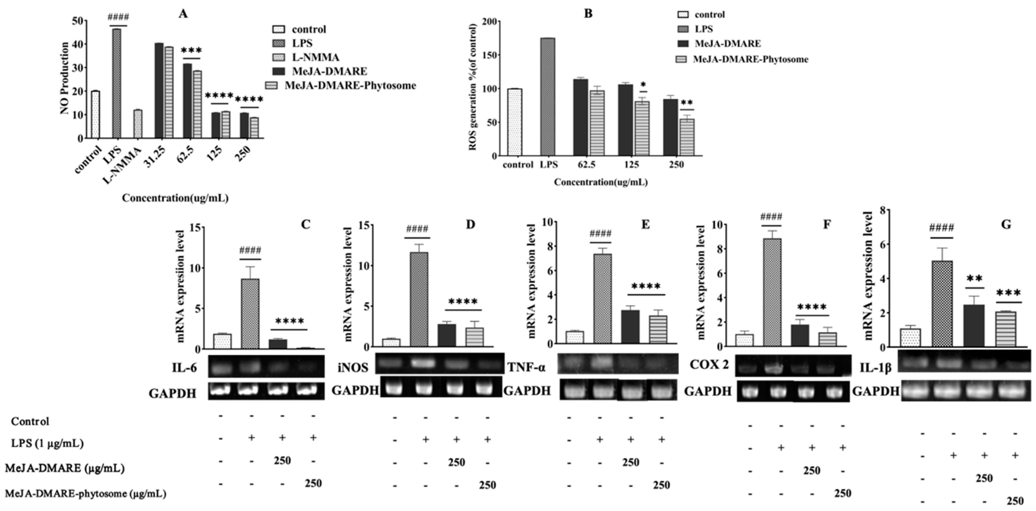 Biomolecules 14 01273 g009 Biomolecules 14 01273 g009