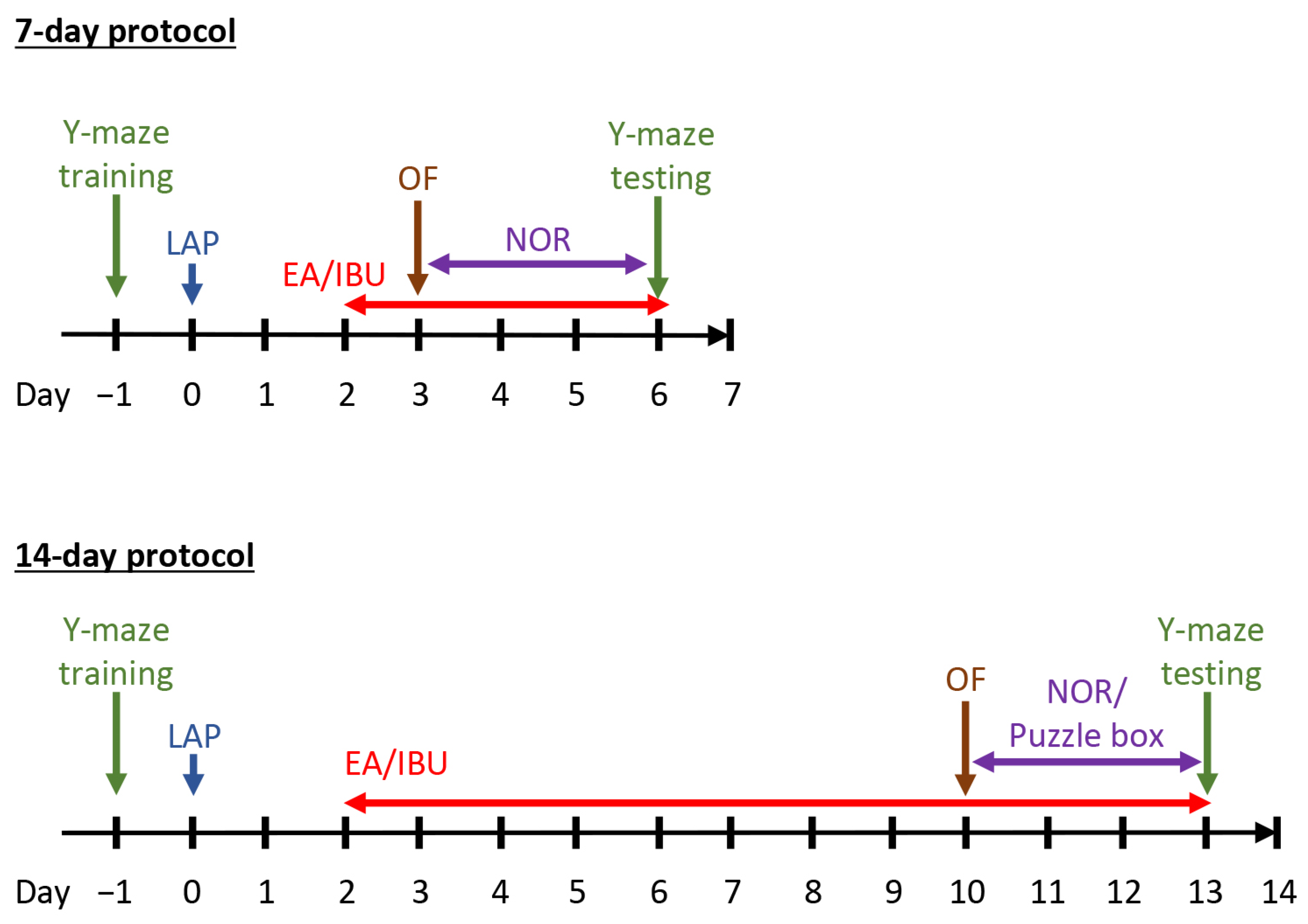 Biomolecules 14 01274 g001