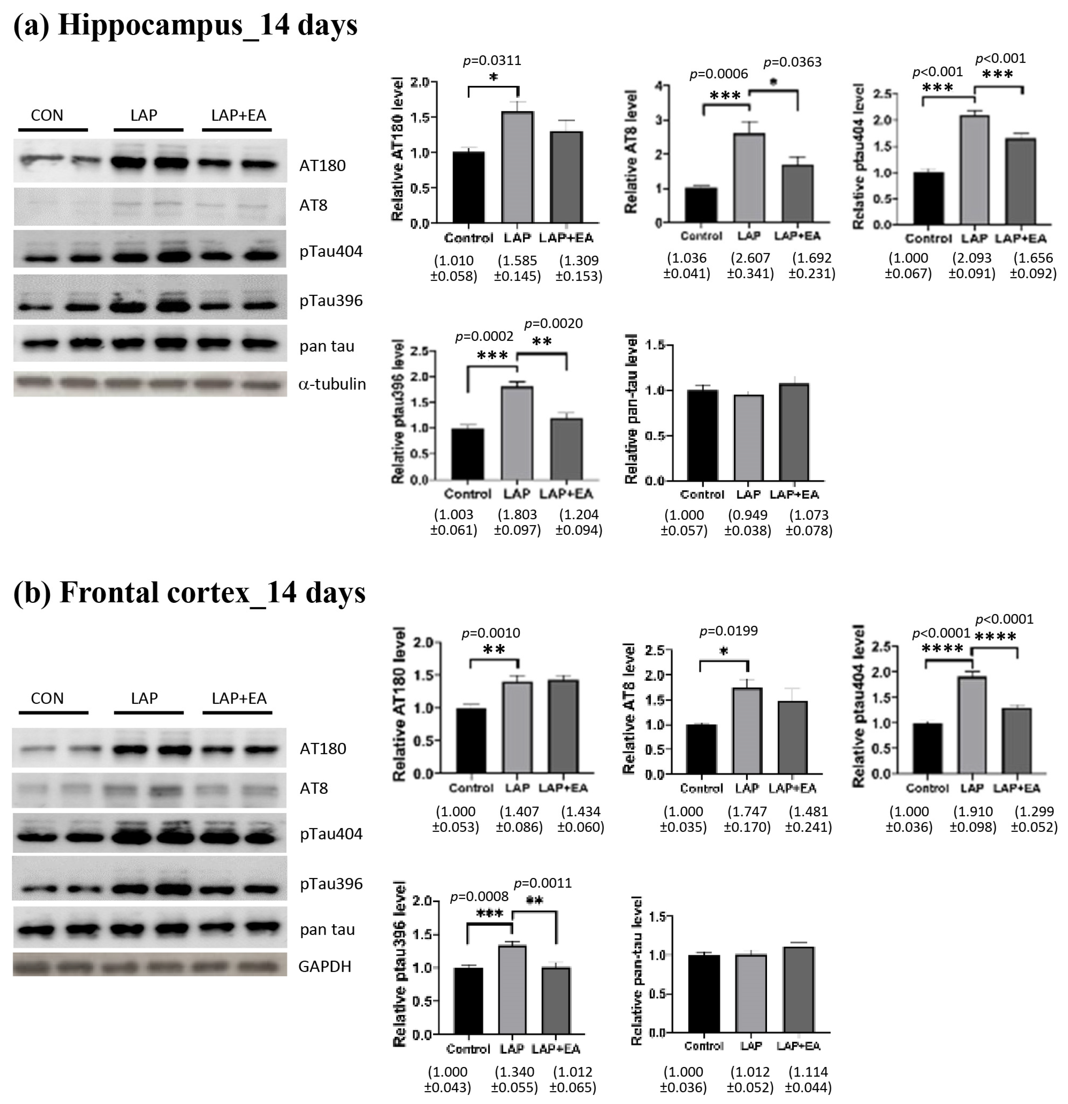 Biomolecules 14 01274 g003