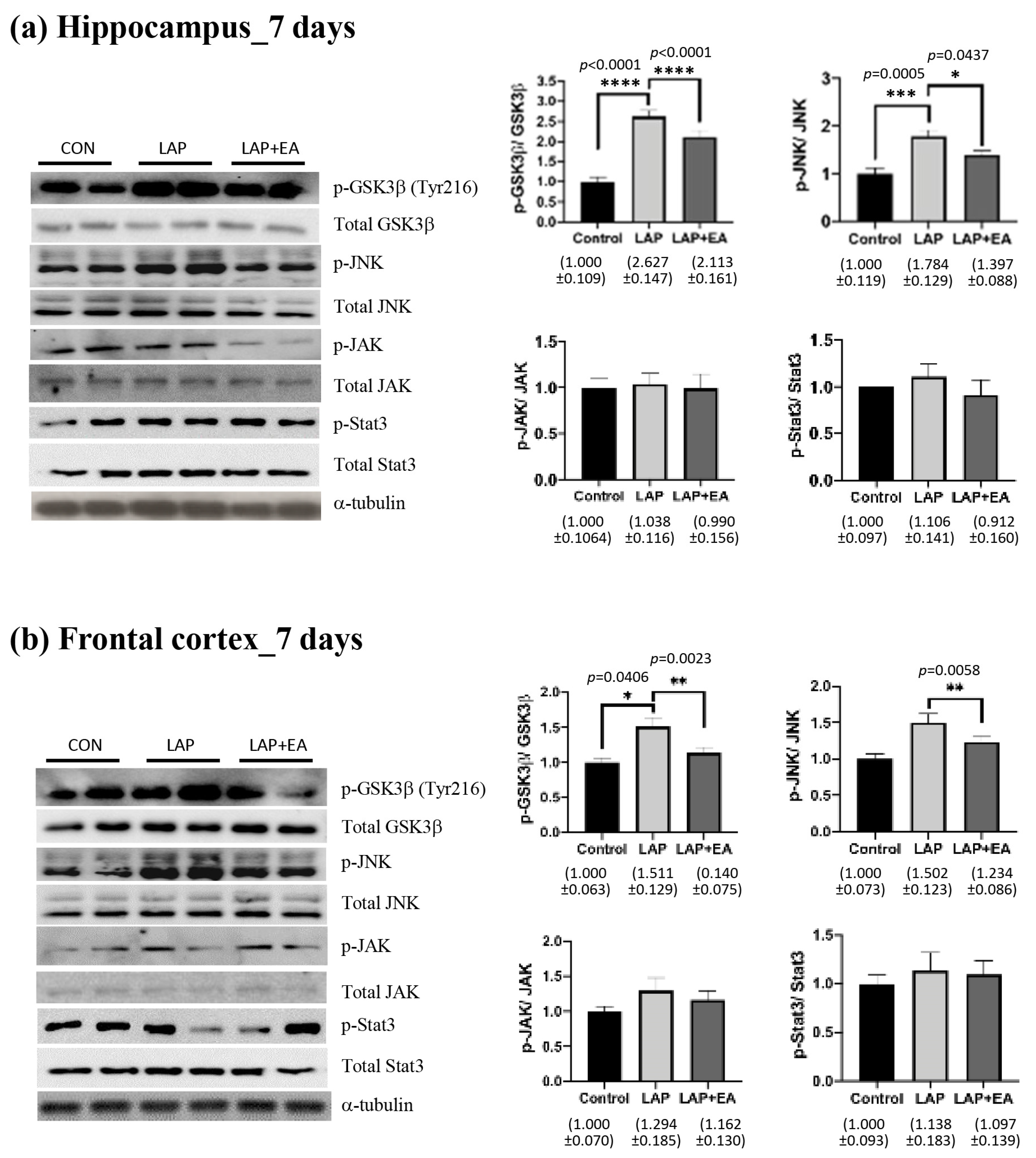 Biomolecules 14 01274 g004