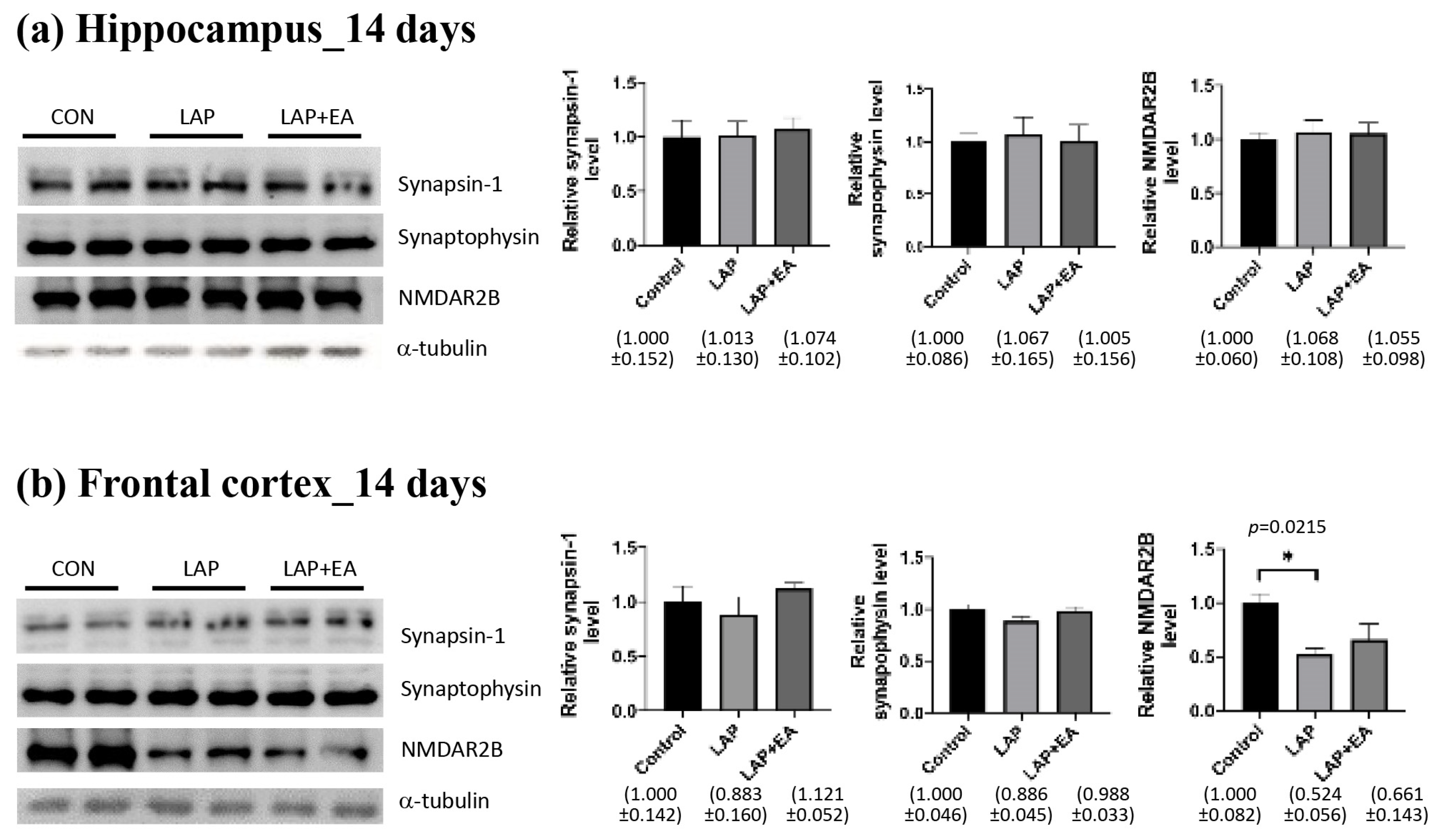 Biomolecules 14 01274 g005