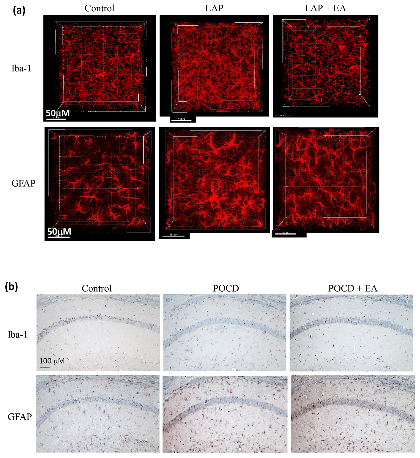 Biomolecules 14 01274 g007