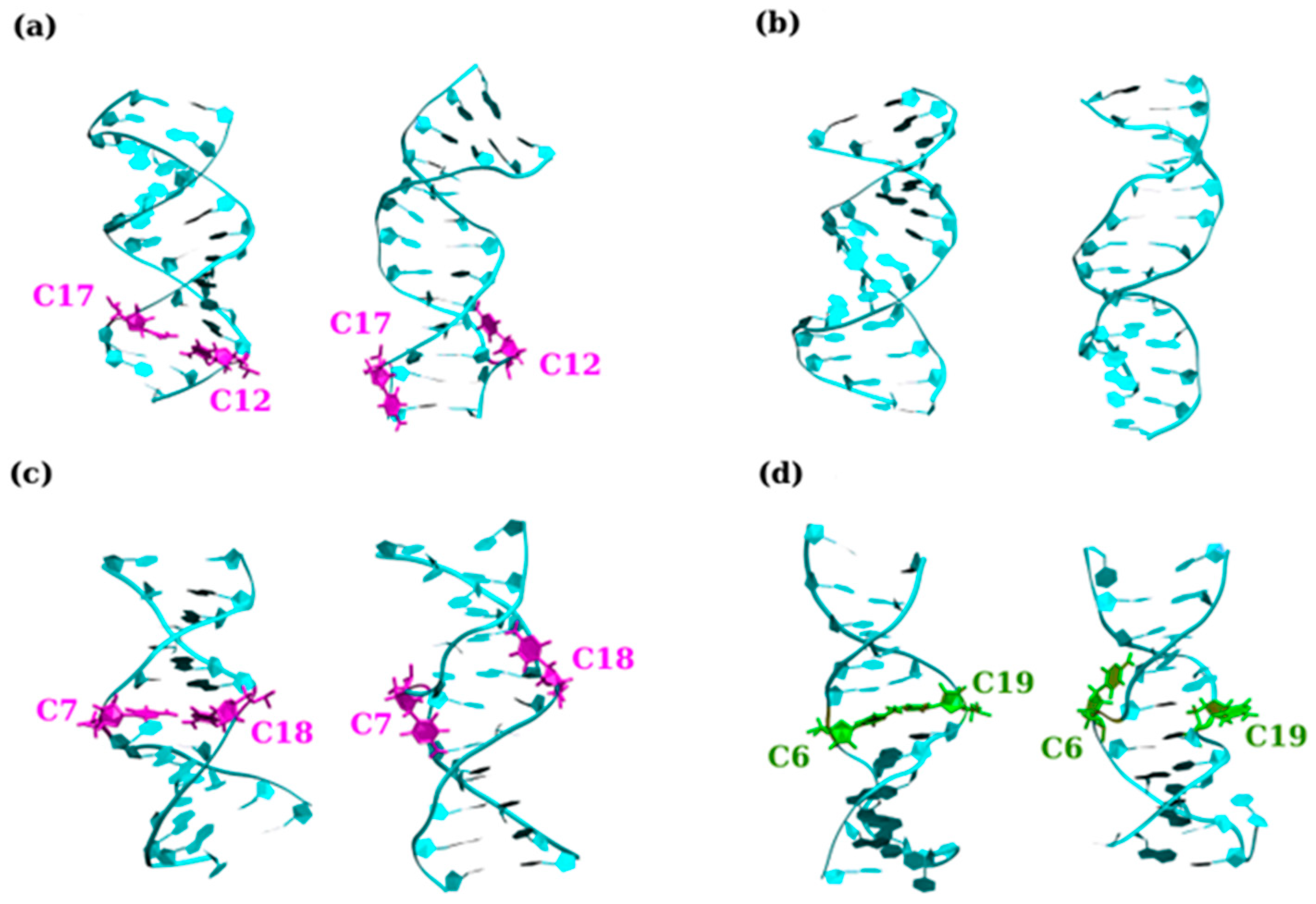 Biomolecules 14 01278 g006