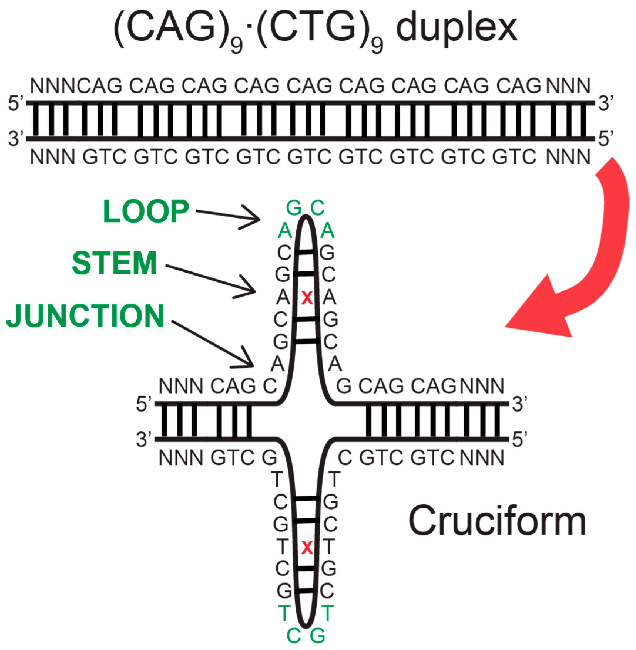 Biomolecules 14 01278 g007