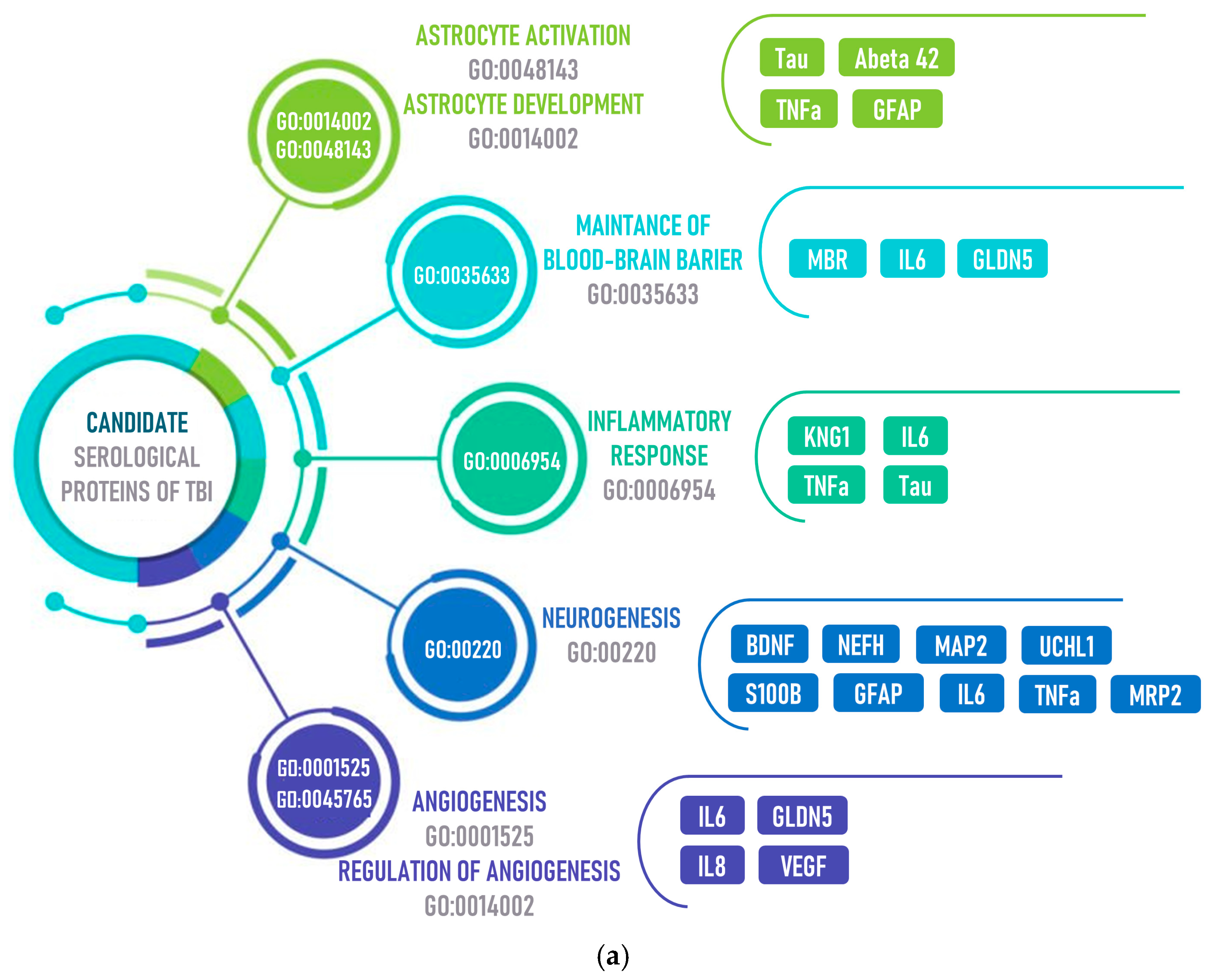 Biomolecules 14 01283 g003a