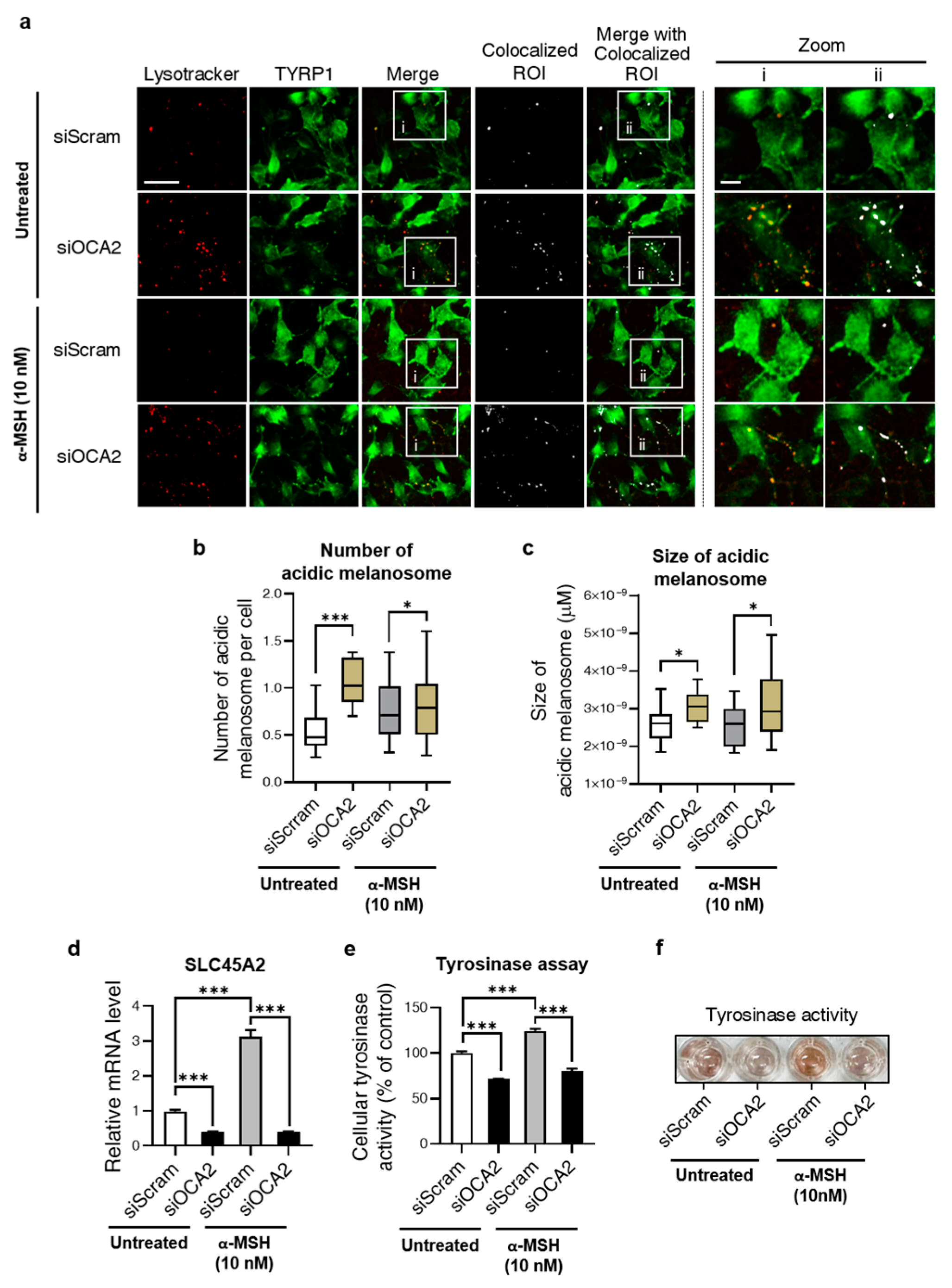 Biomolecules 14 01284 g002 Biomolecules 14 01284 g002