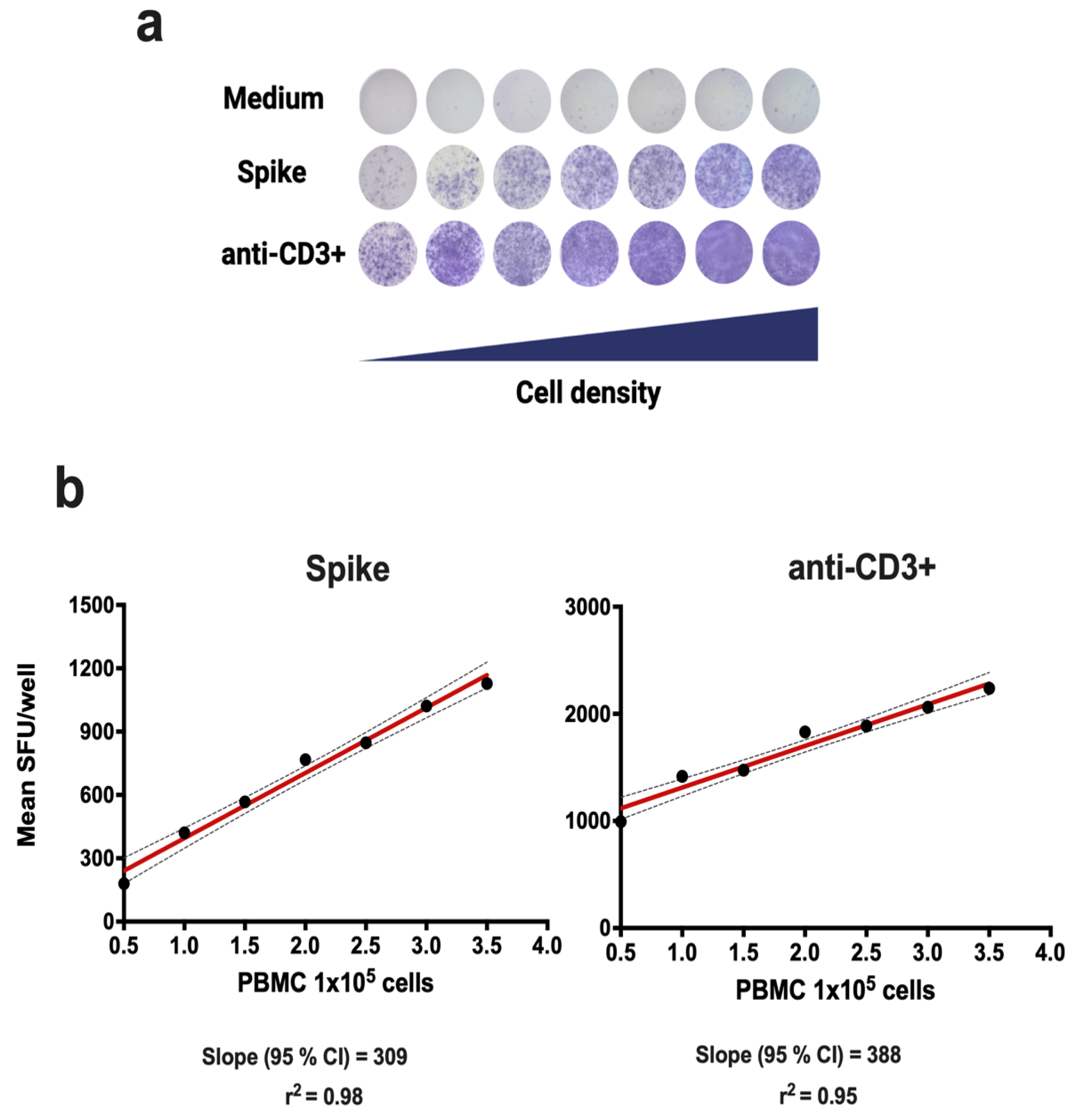 Biomolecules 14 01286 g001
