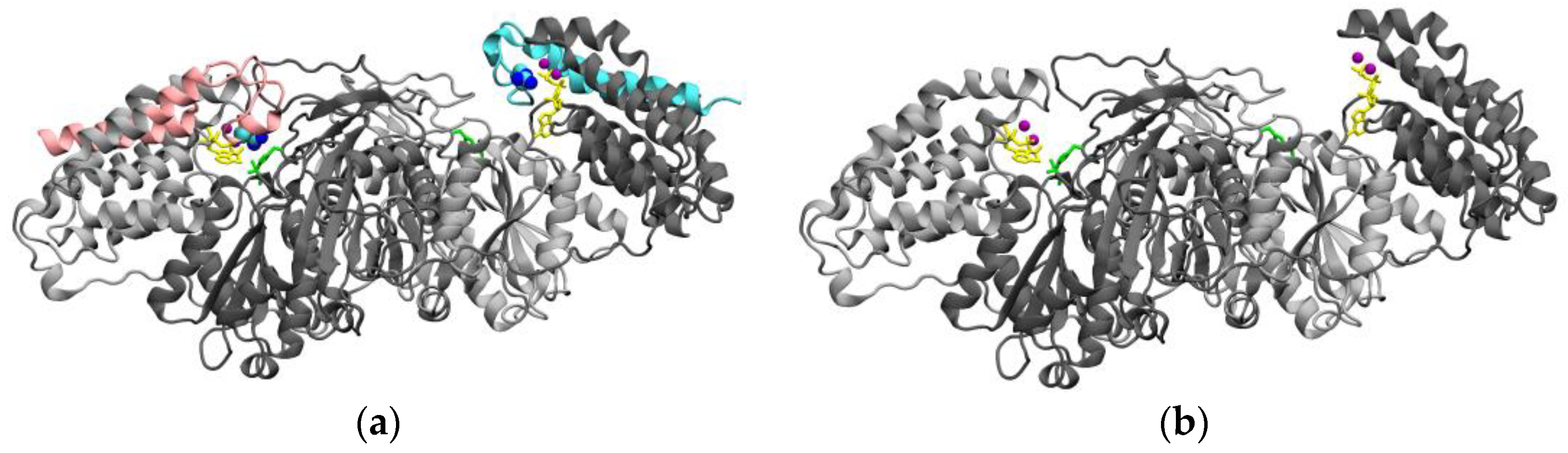 Biomolecules 14 01288 g005