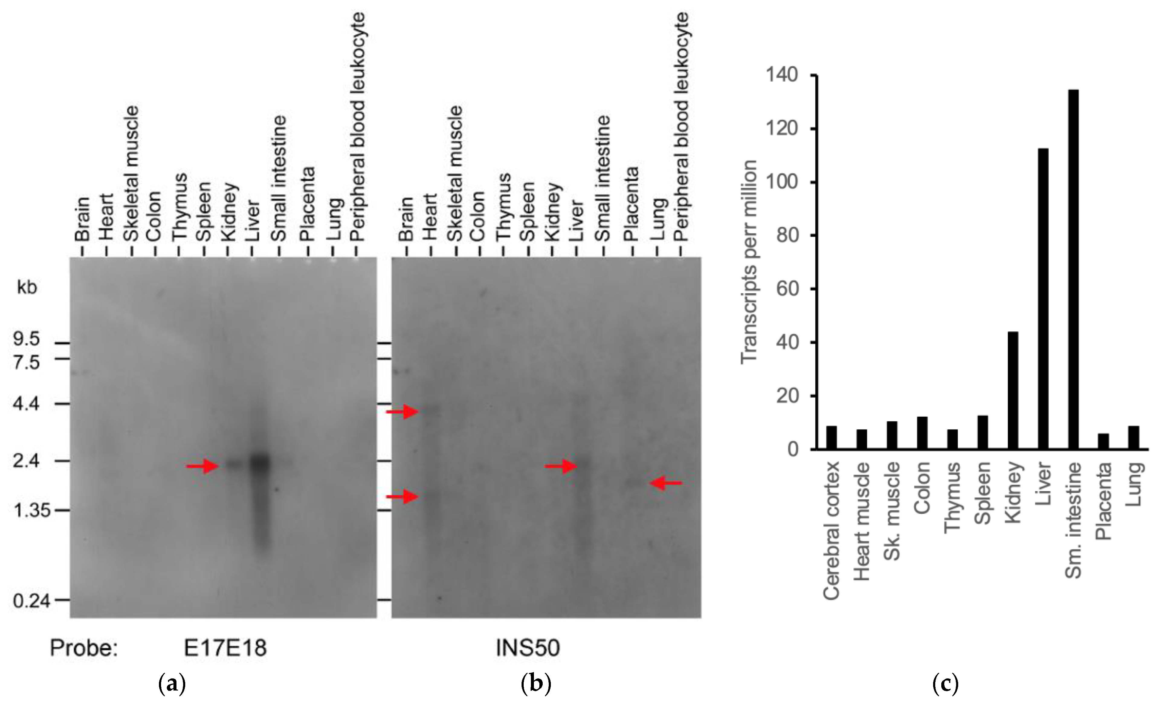 Biomolecules 14 01288 g006