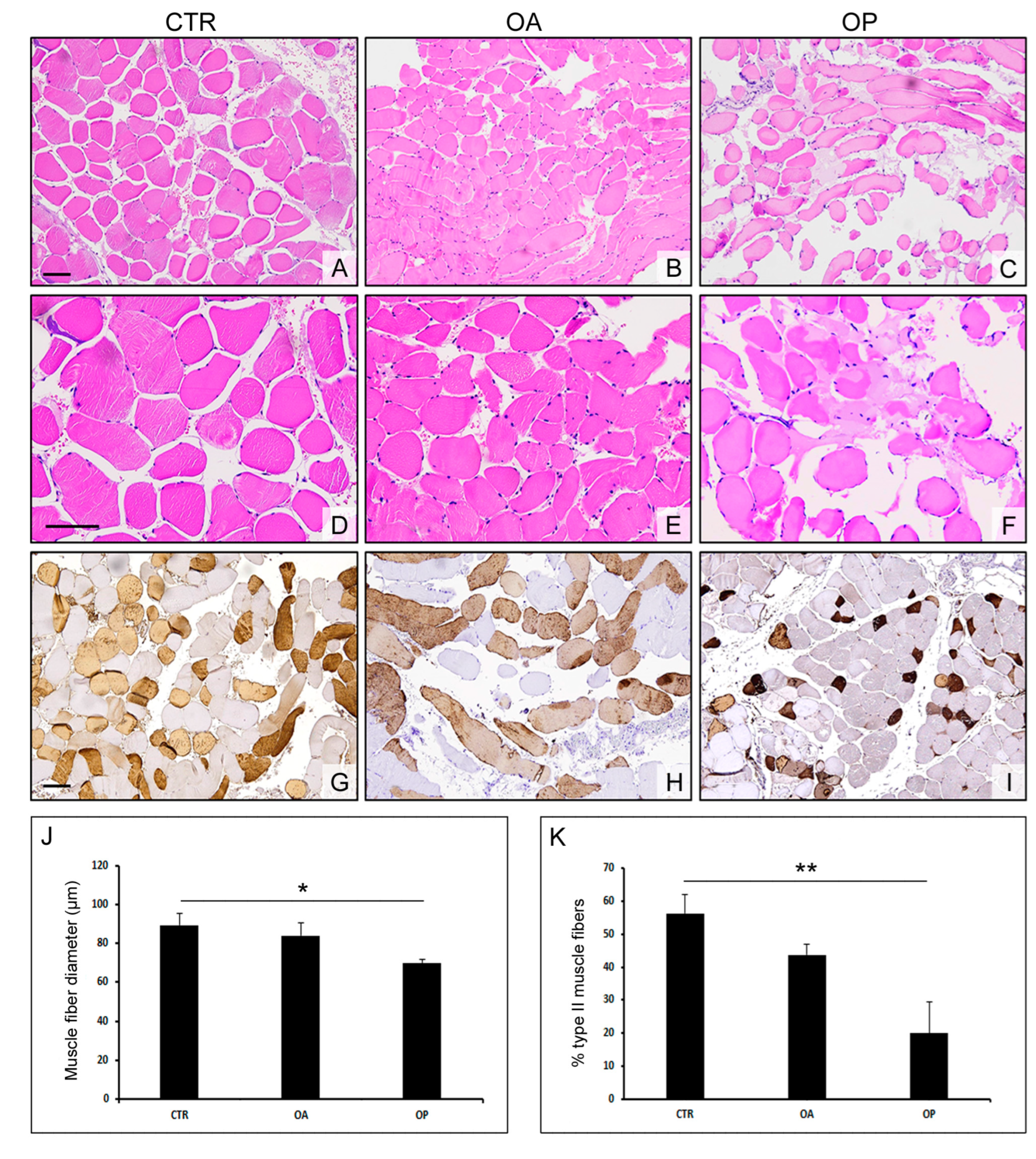 Biomolecules 14 01289 g001