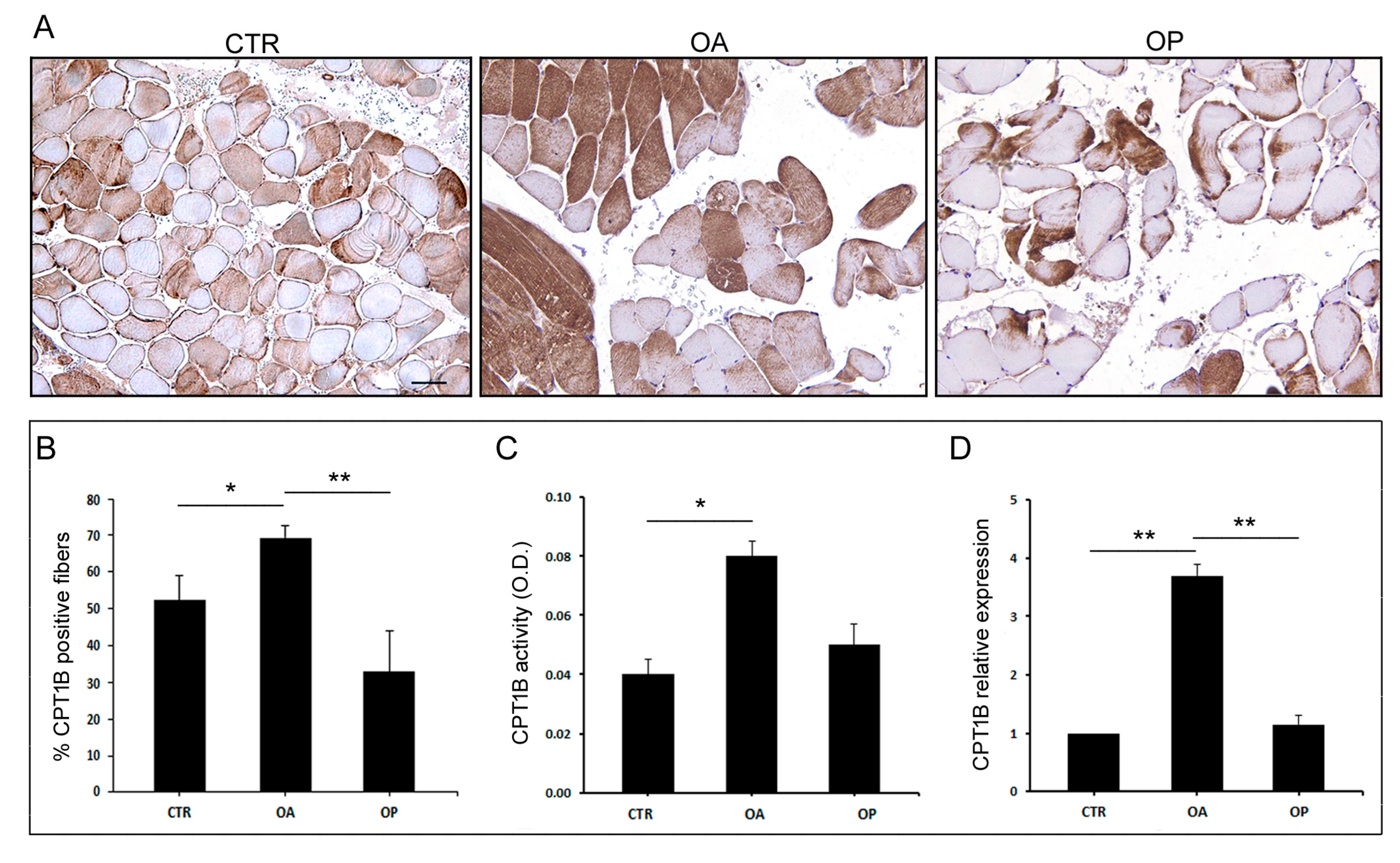 Biomolecules 14 01289 g002