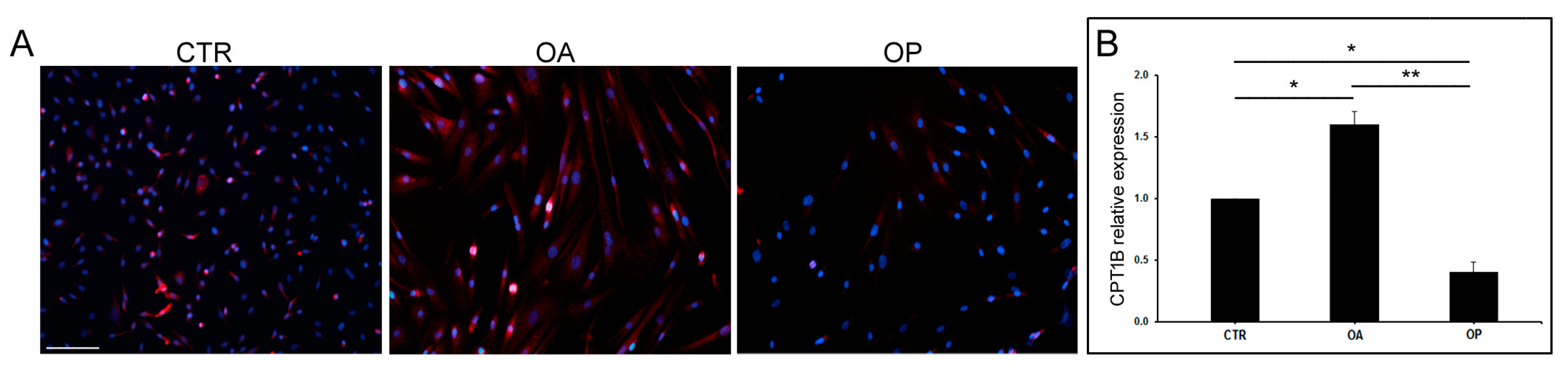 Biomolecules 14 01289 g003