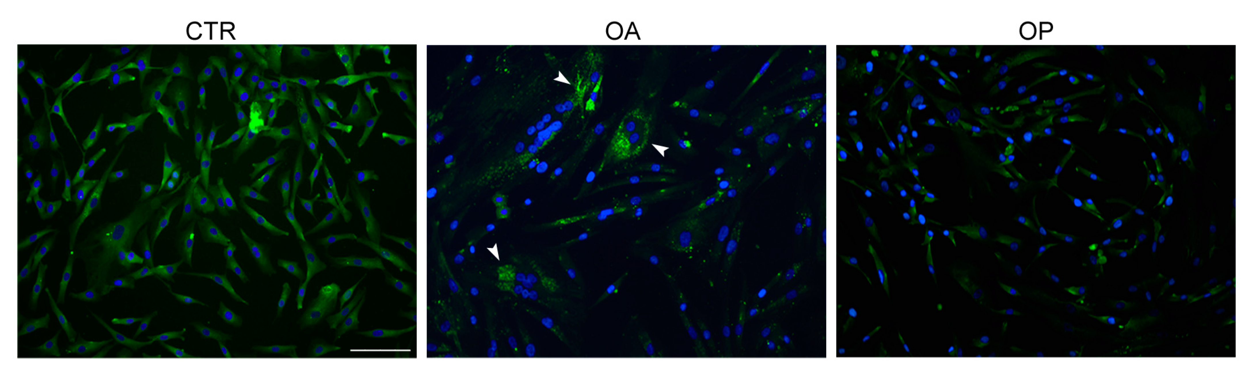 Biomolecules 14 01289 g005