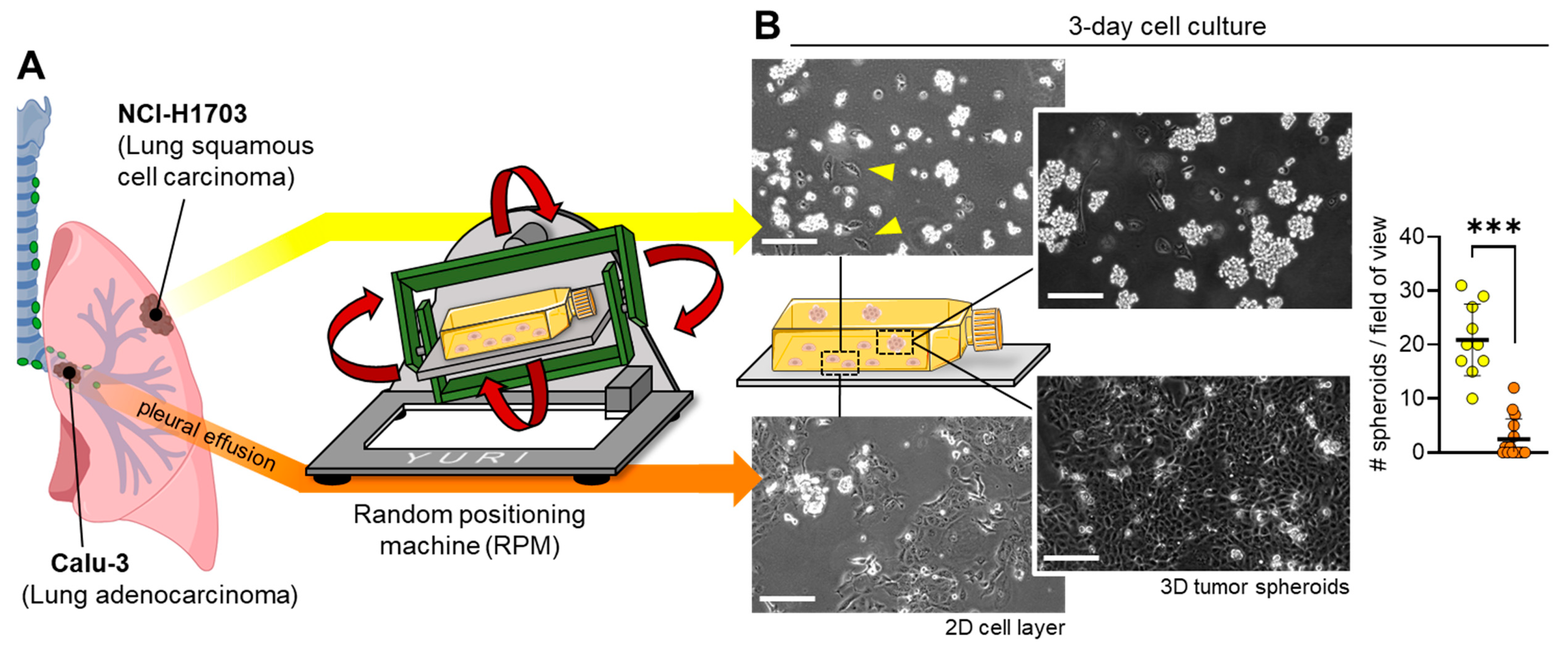 Biomolecules 14 01292 g001