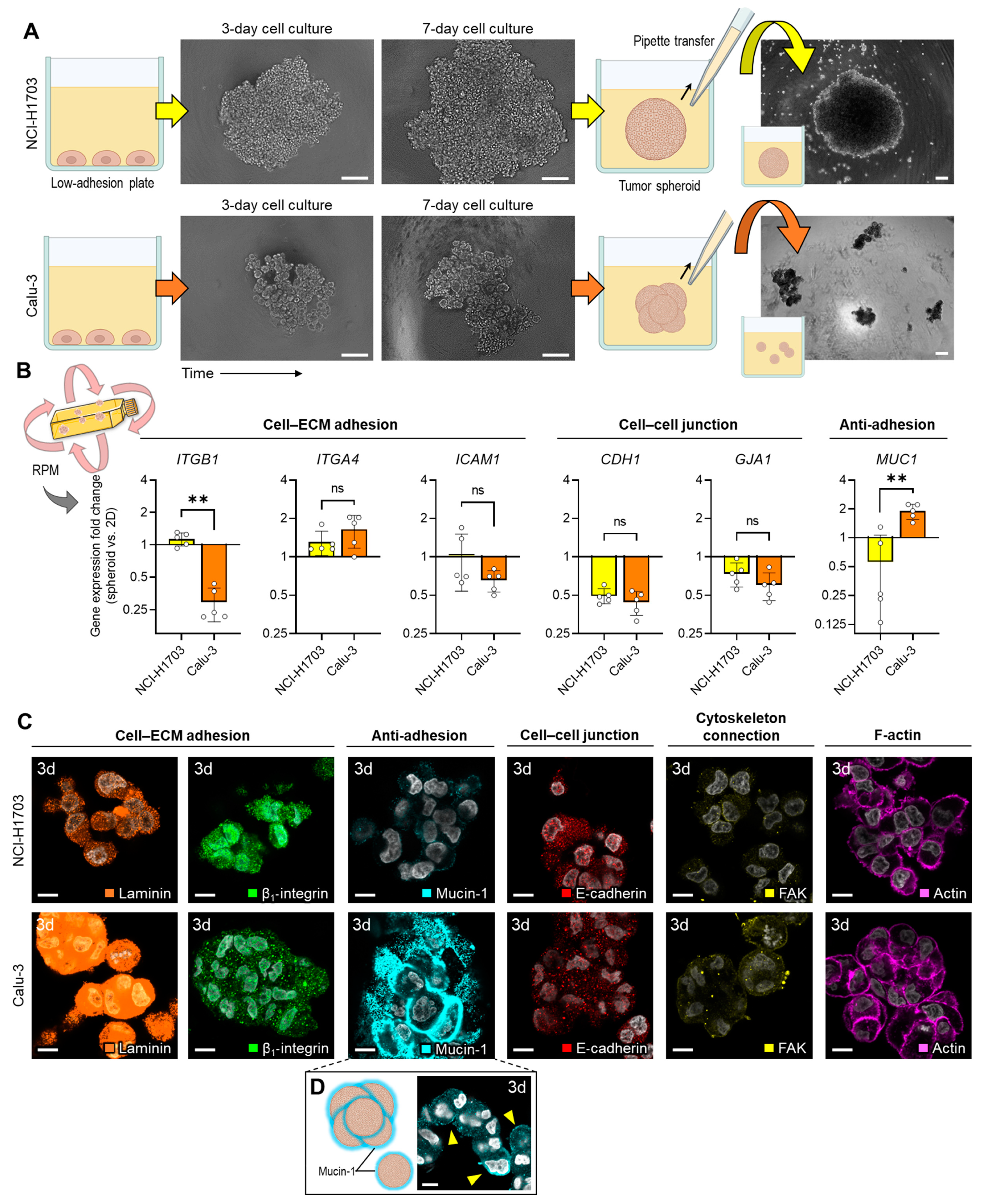 Biomolecules 14 01292 g003