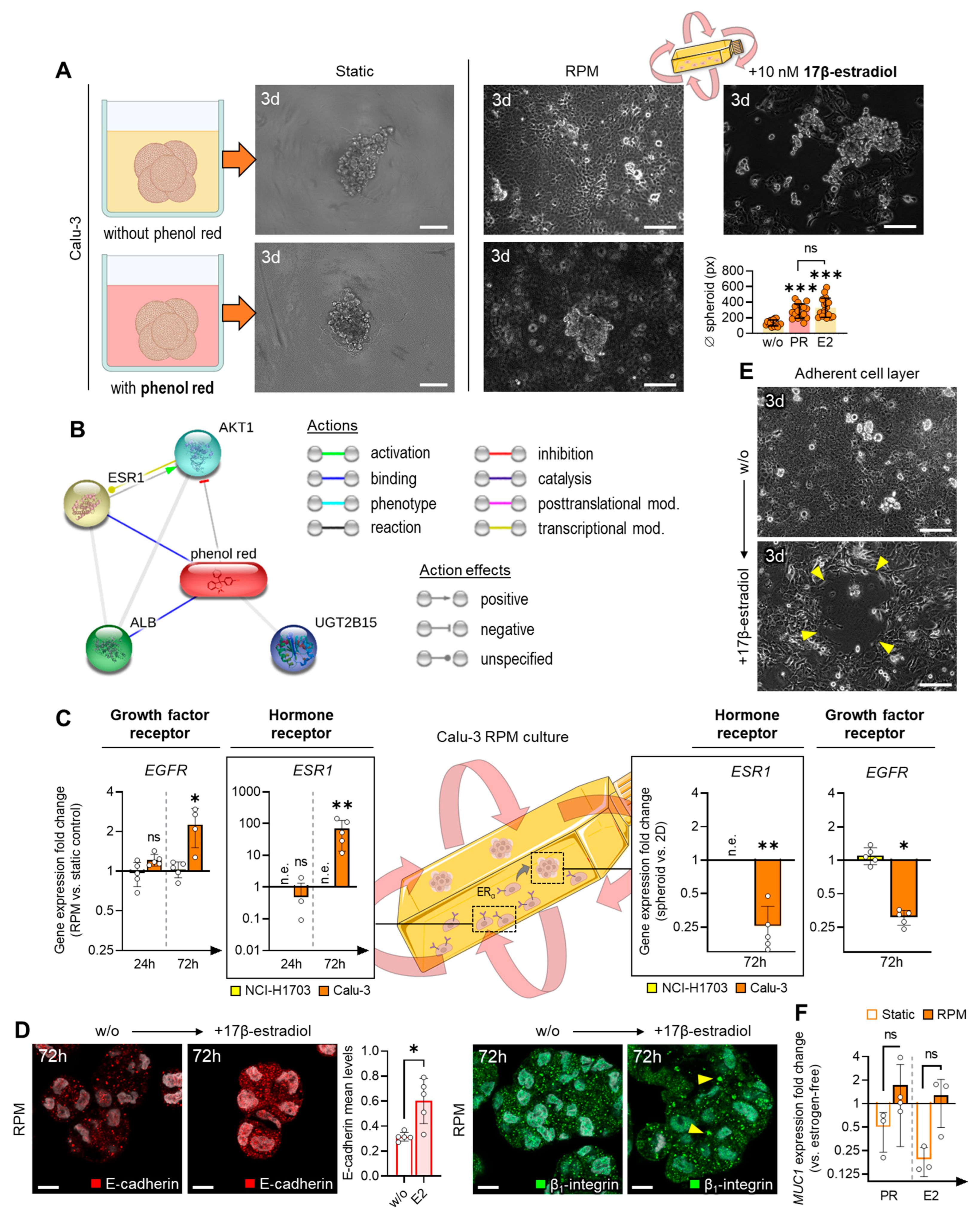 Biomolecules 14 01292 g005