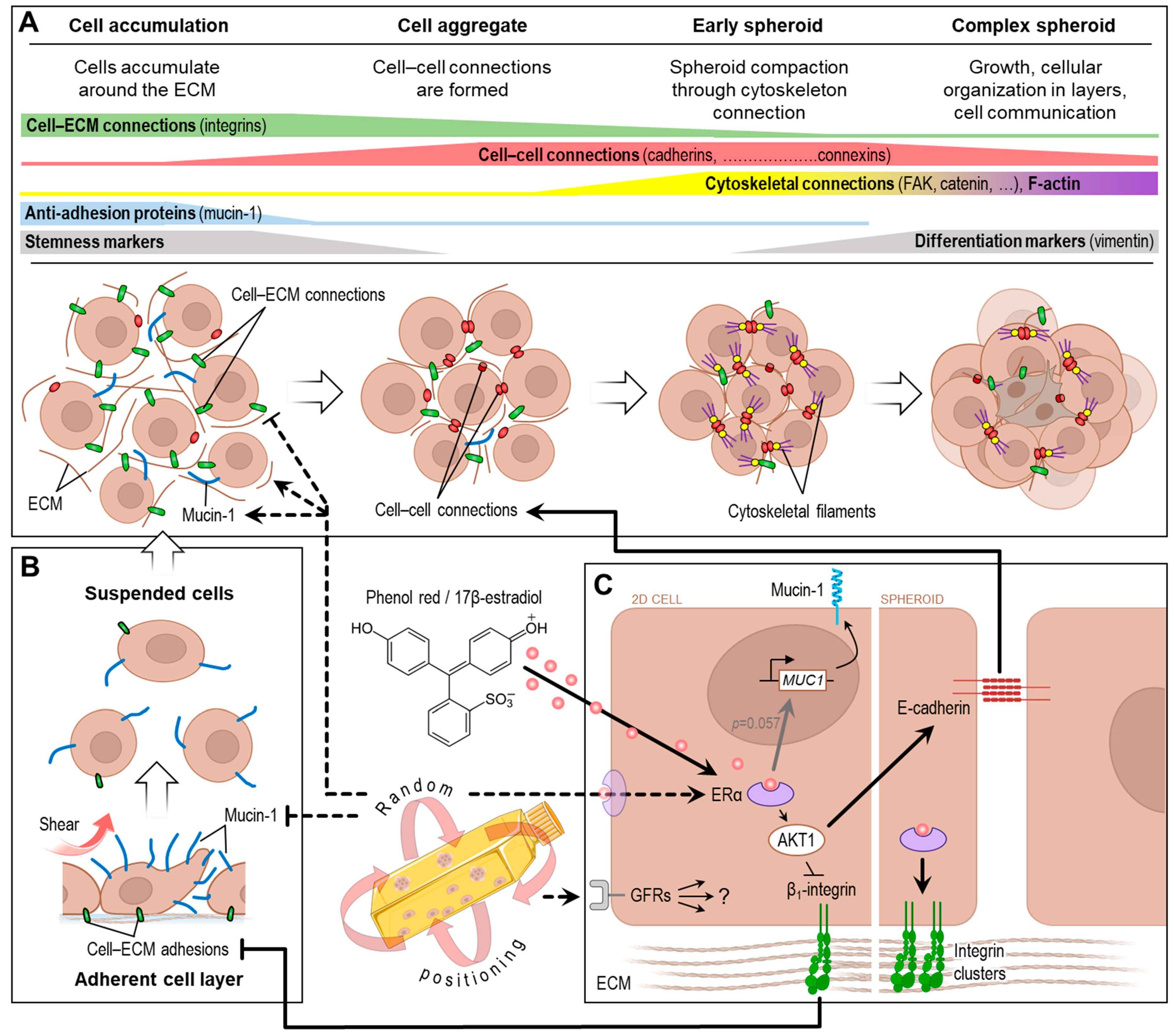 Biomolecules 14 01292 g006