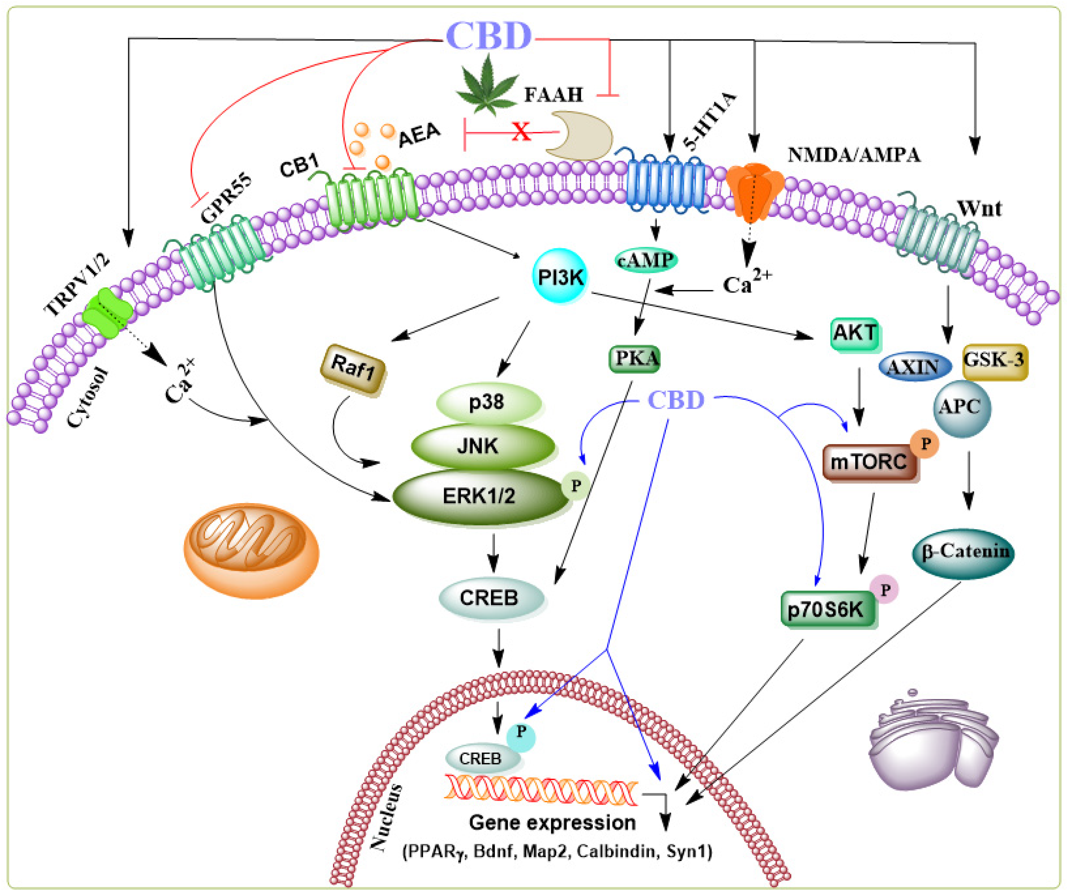 Biomolecules 14 01296 g002 Biomolecules 14 01296 g002