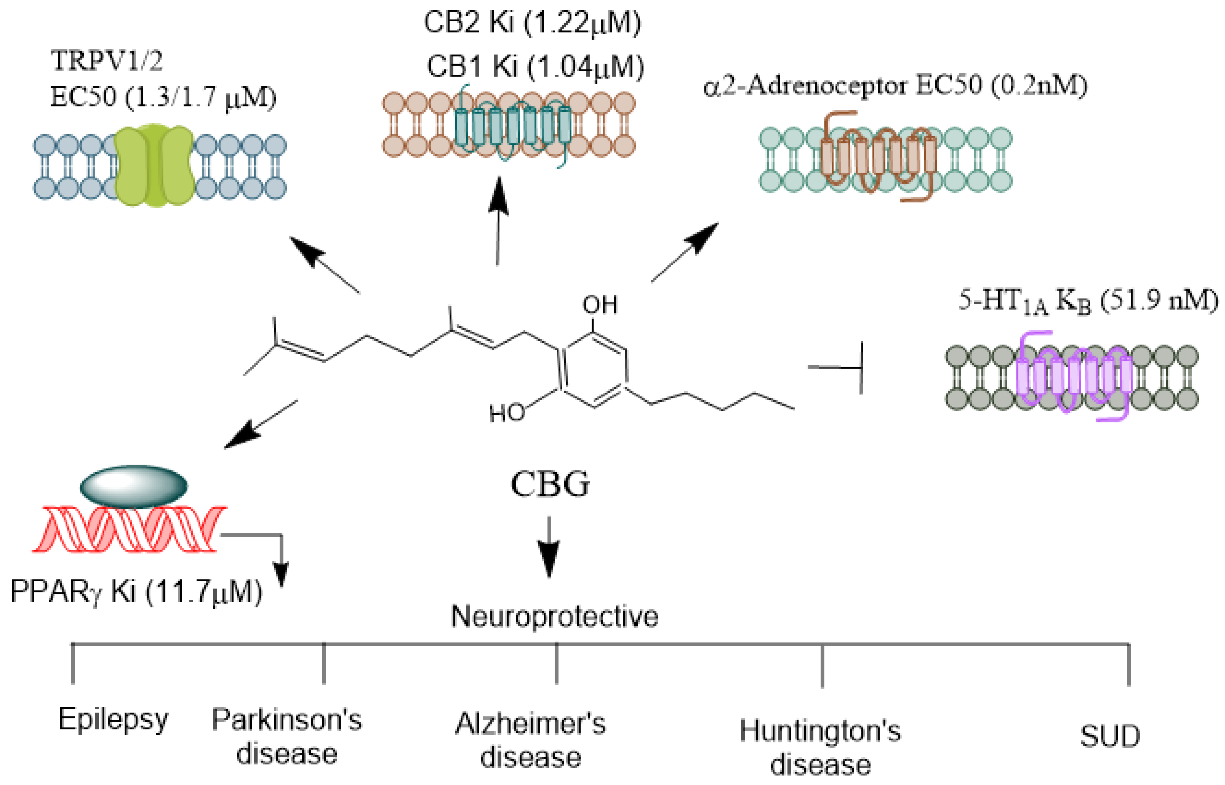 Biomolecules 14 01296 g005 Biomolecules 14 01296 g005