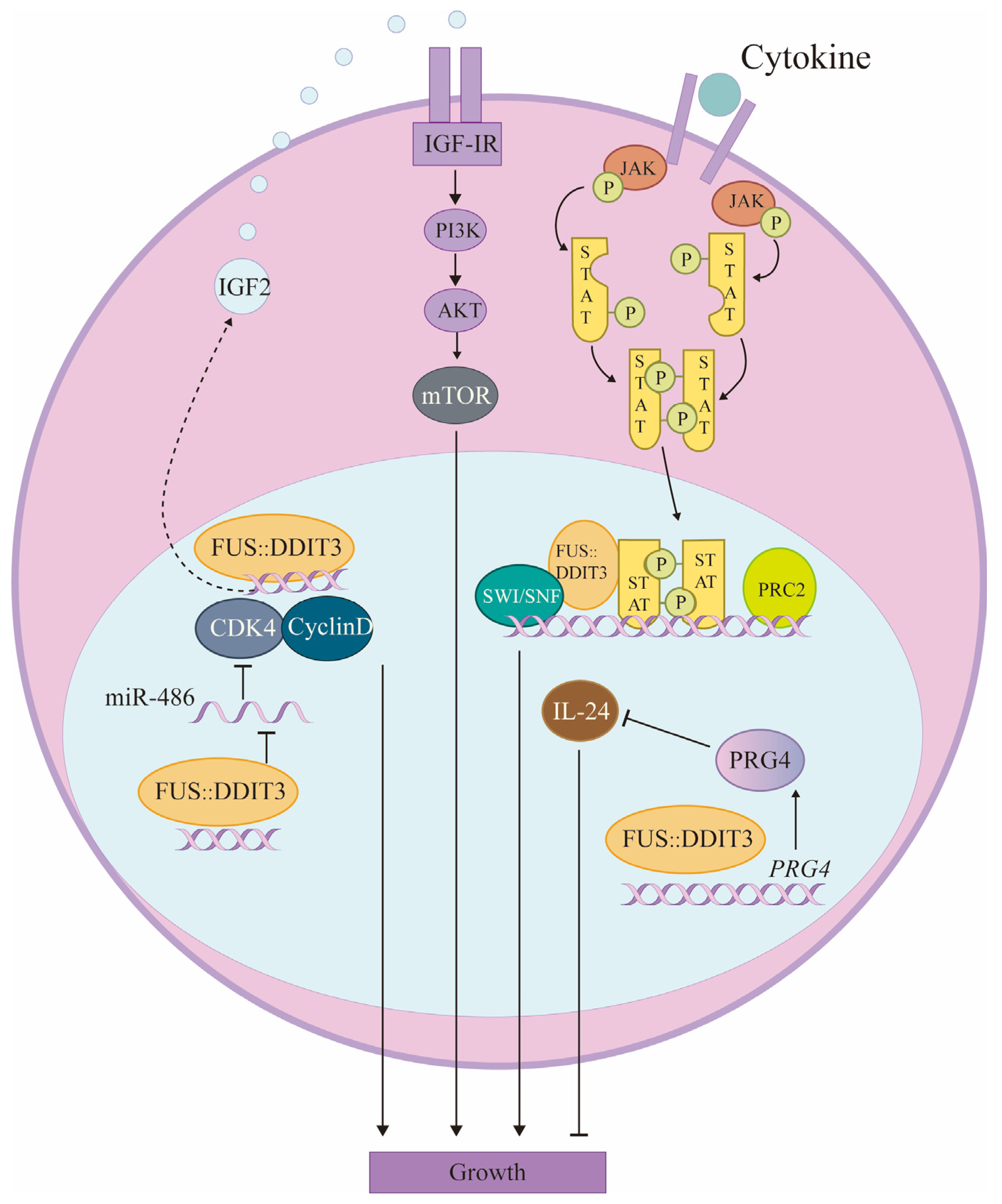 Biomolecules 14 01297 g003 Biomolecules 14 01297 g003