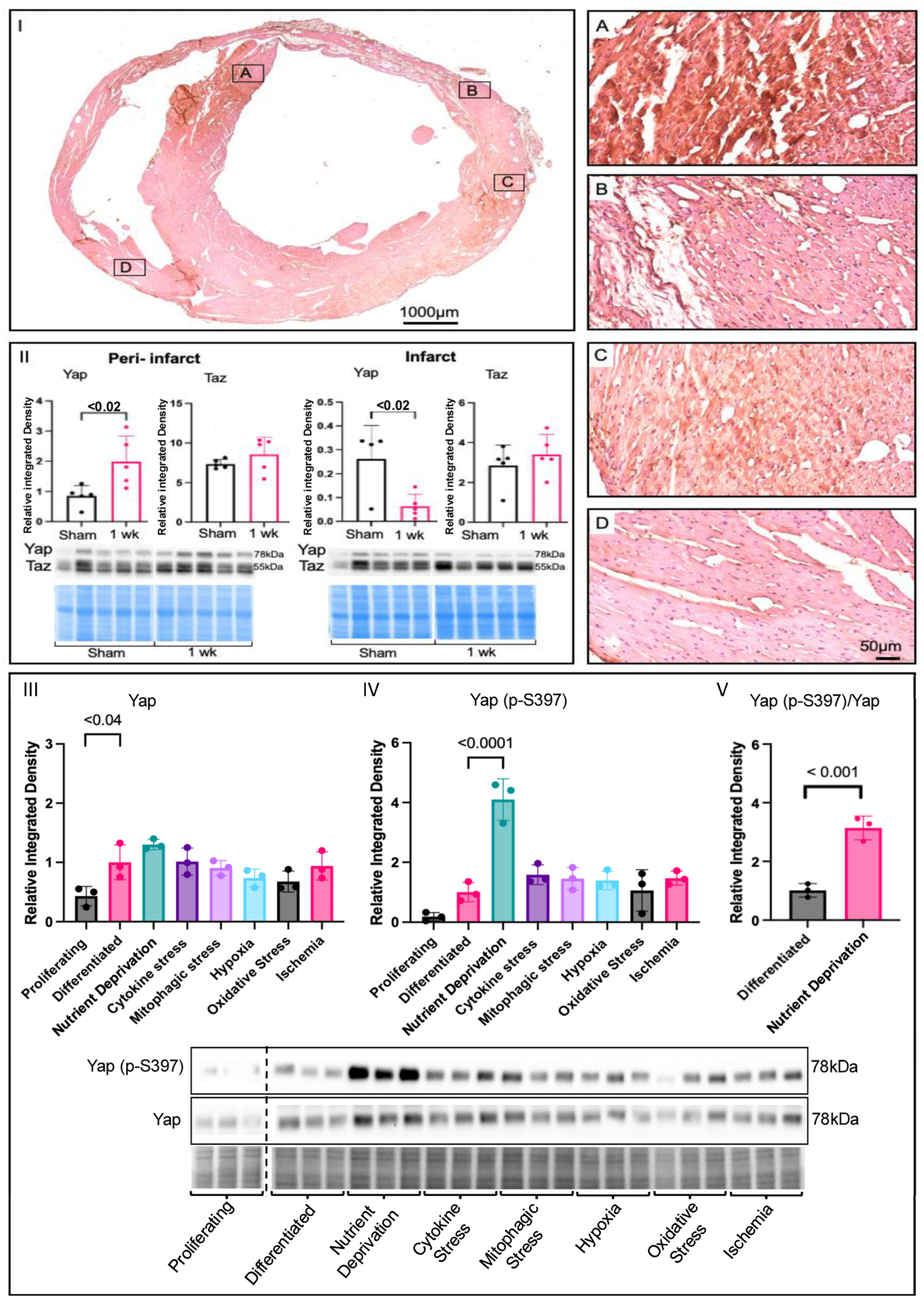 Biomolecules 14 01299 g001