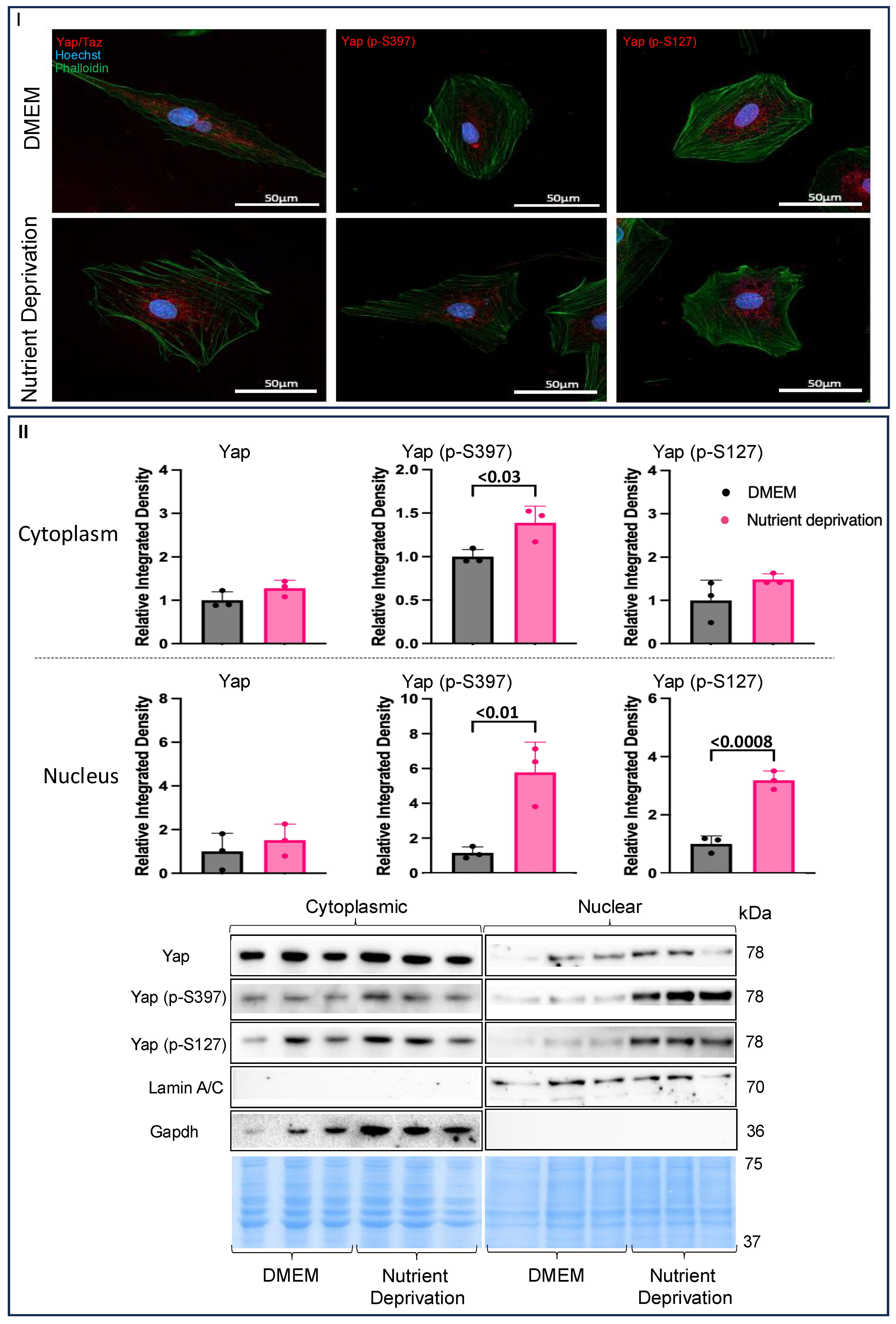 Biomolecules 14 01299 g002