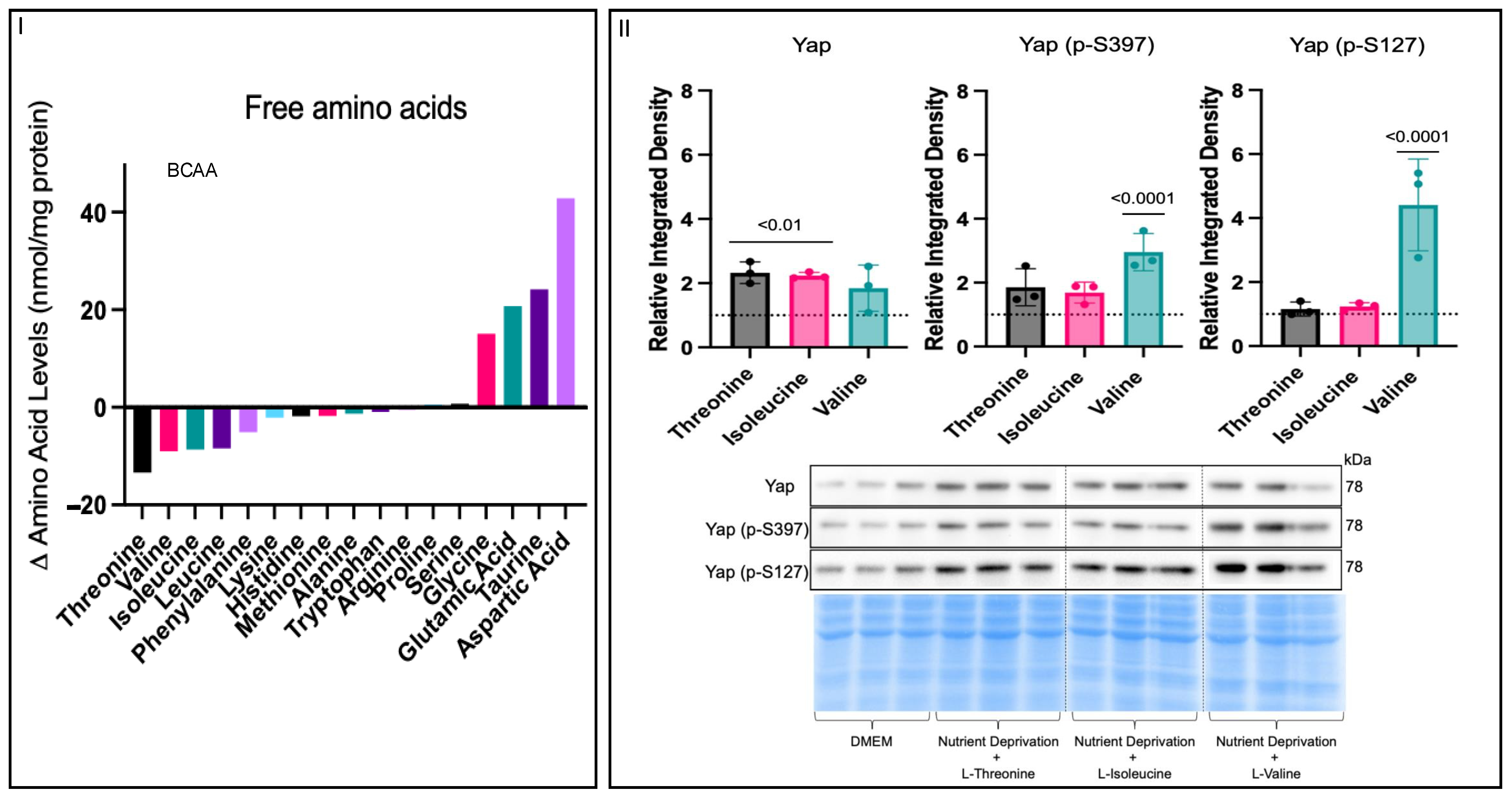 Biomolecules 14 01299 g003