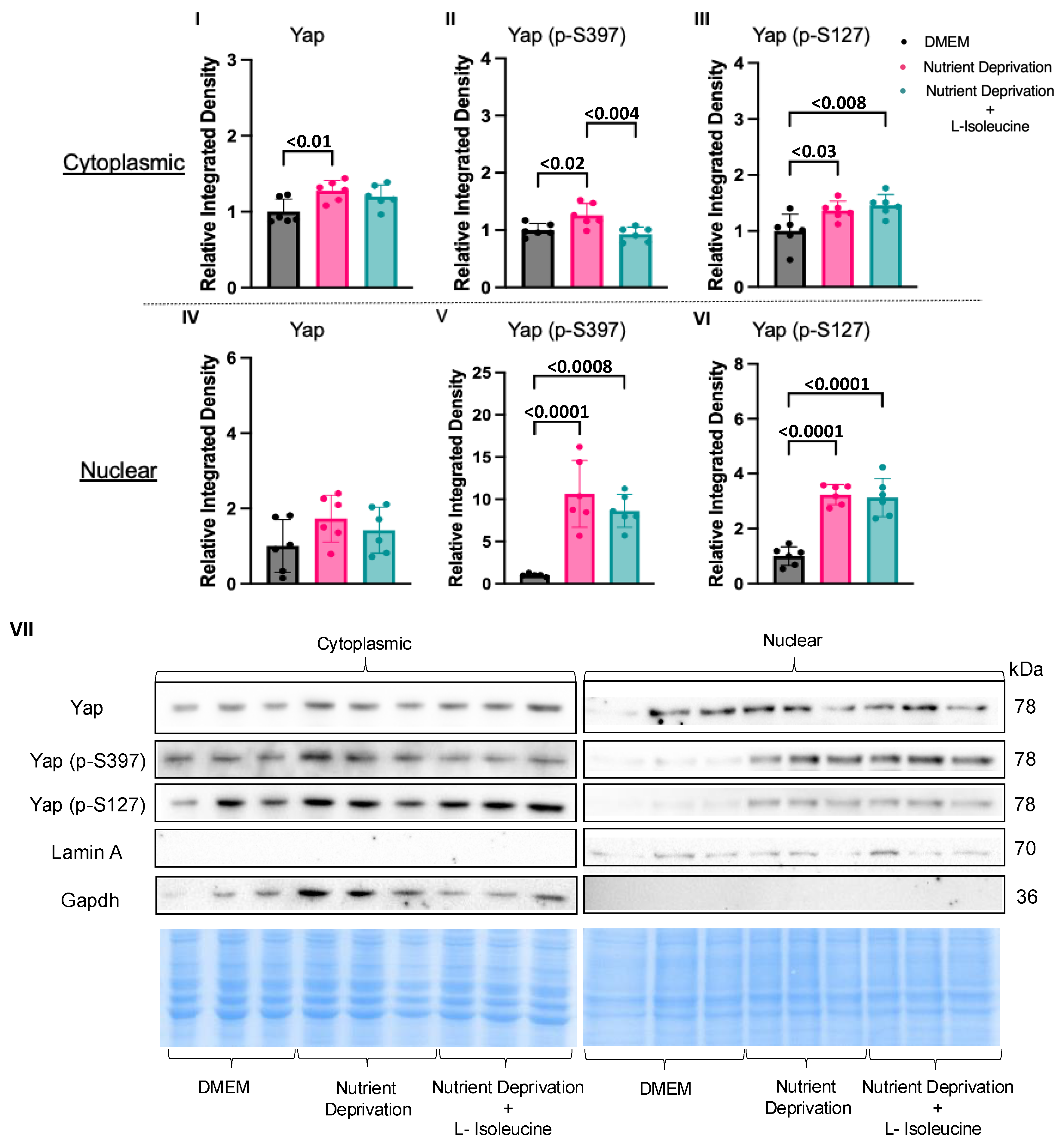 Biomolecules 14 01299 g004