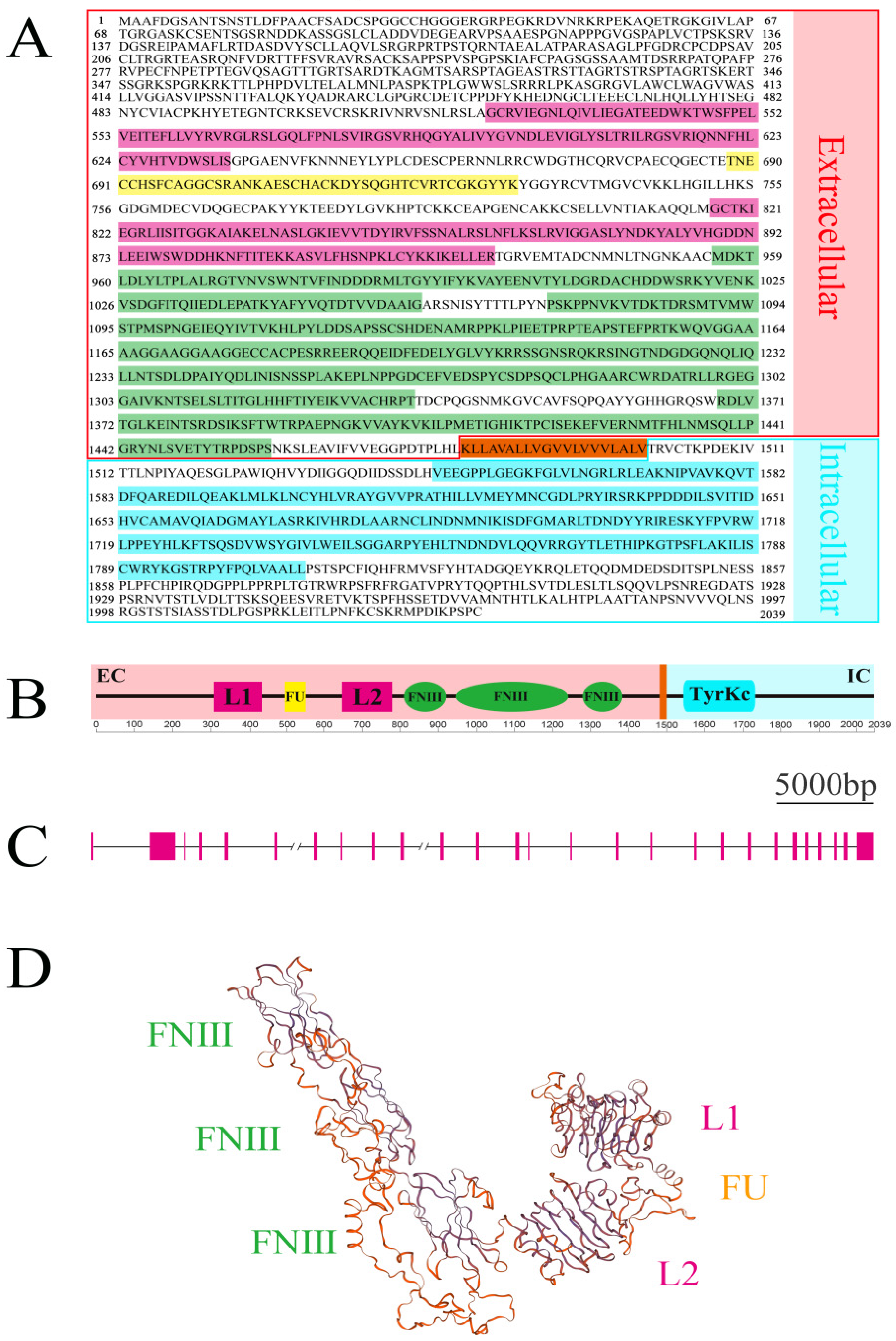 Biomolecules 14 01300 g001