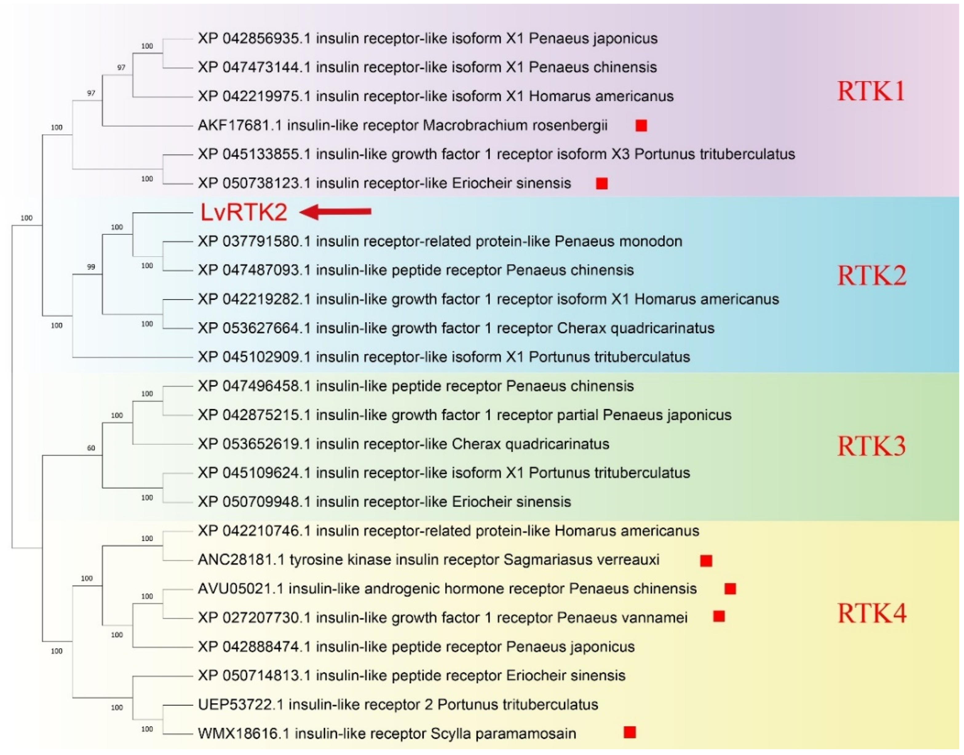 Biomolecules 14 01300 g002