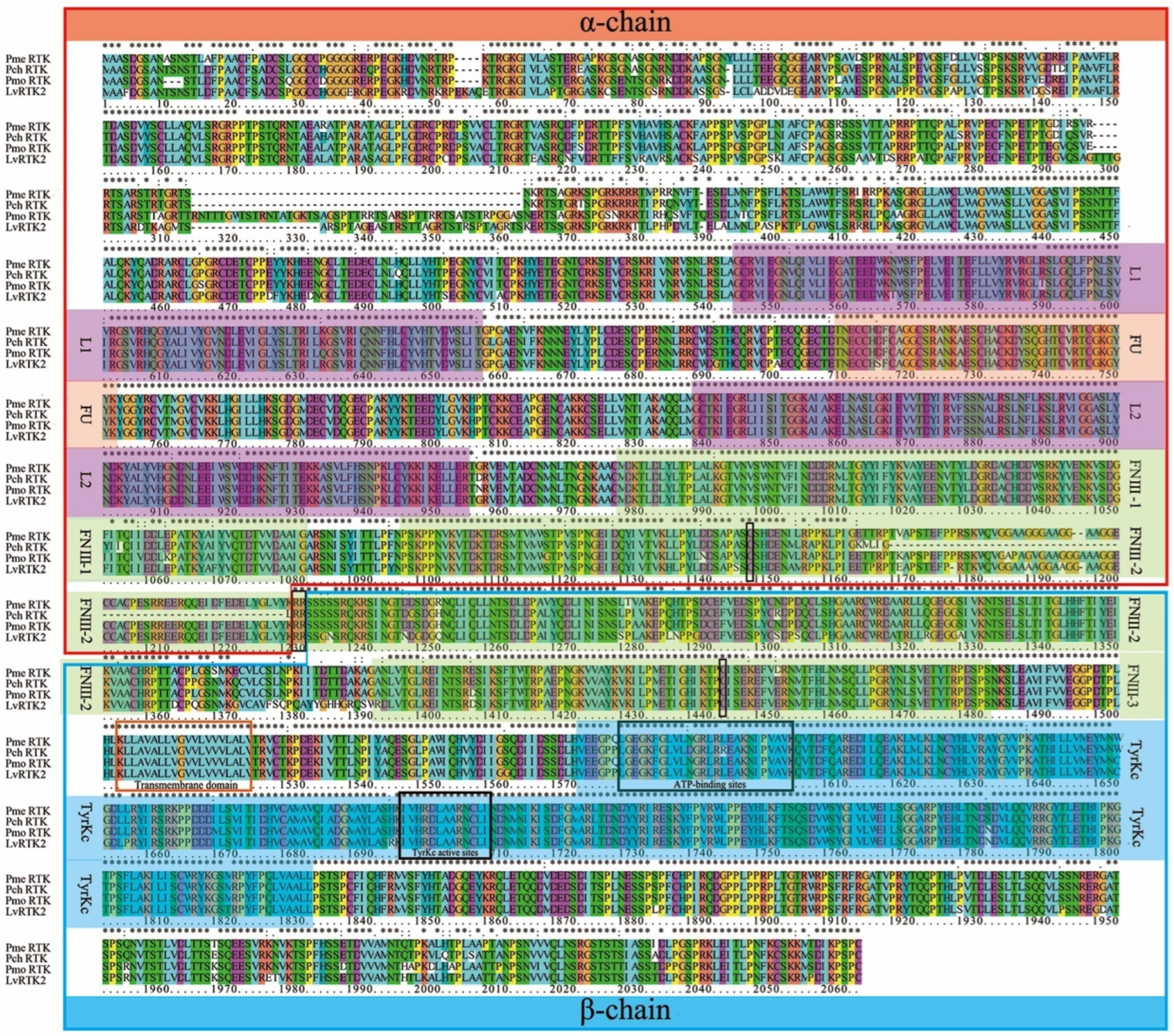 Biomolecules 14 01300 g003