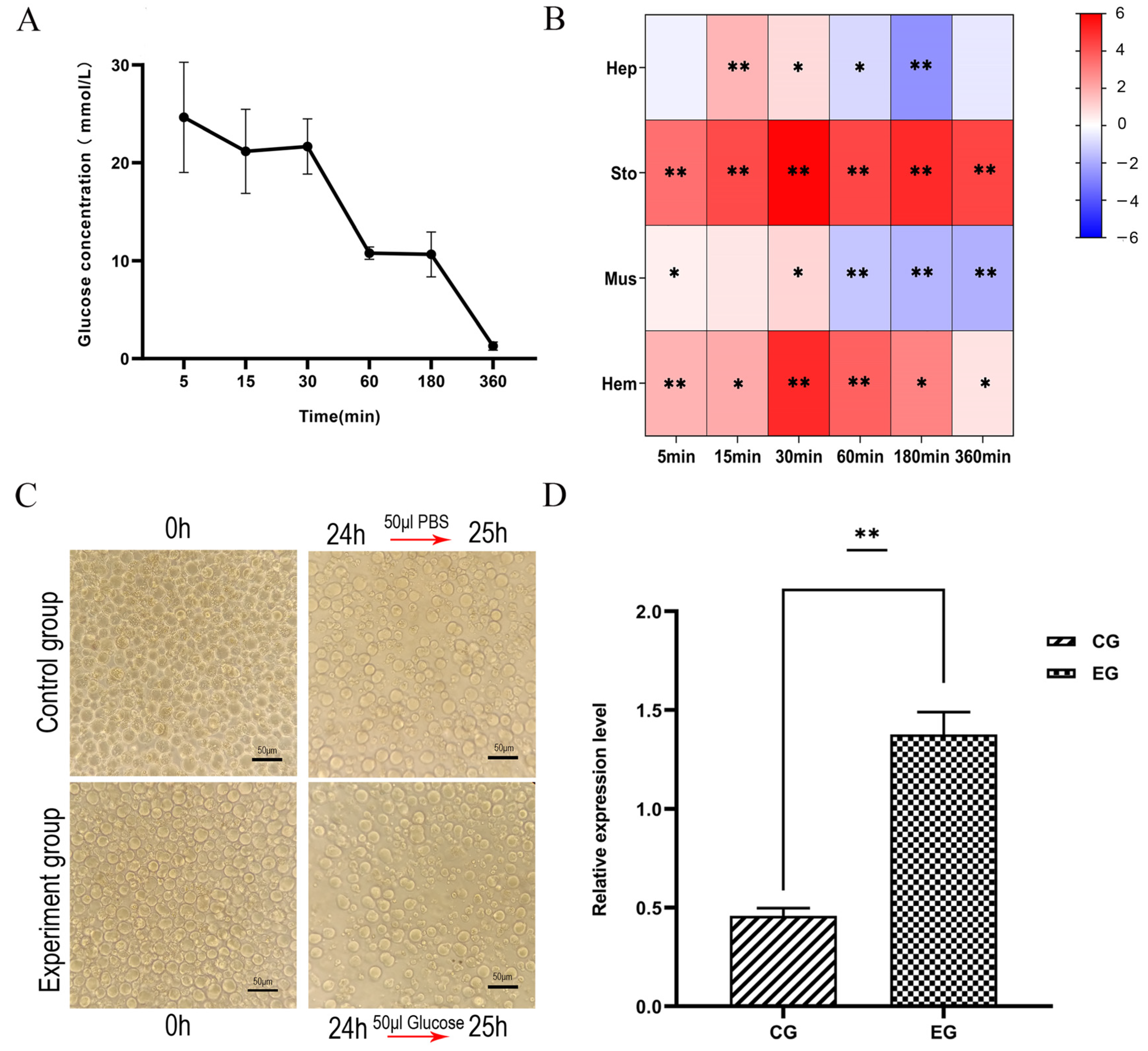 Biomolecules 14 01300 g005