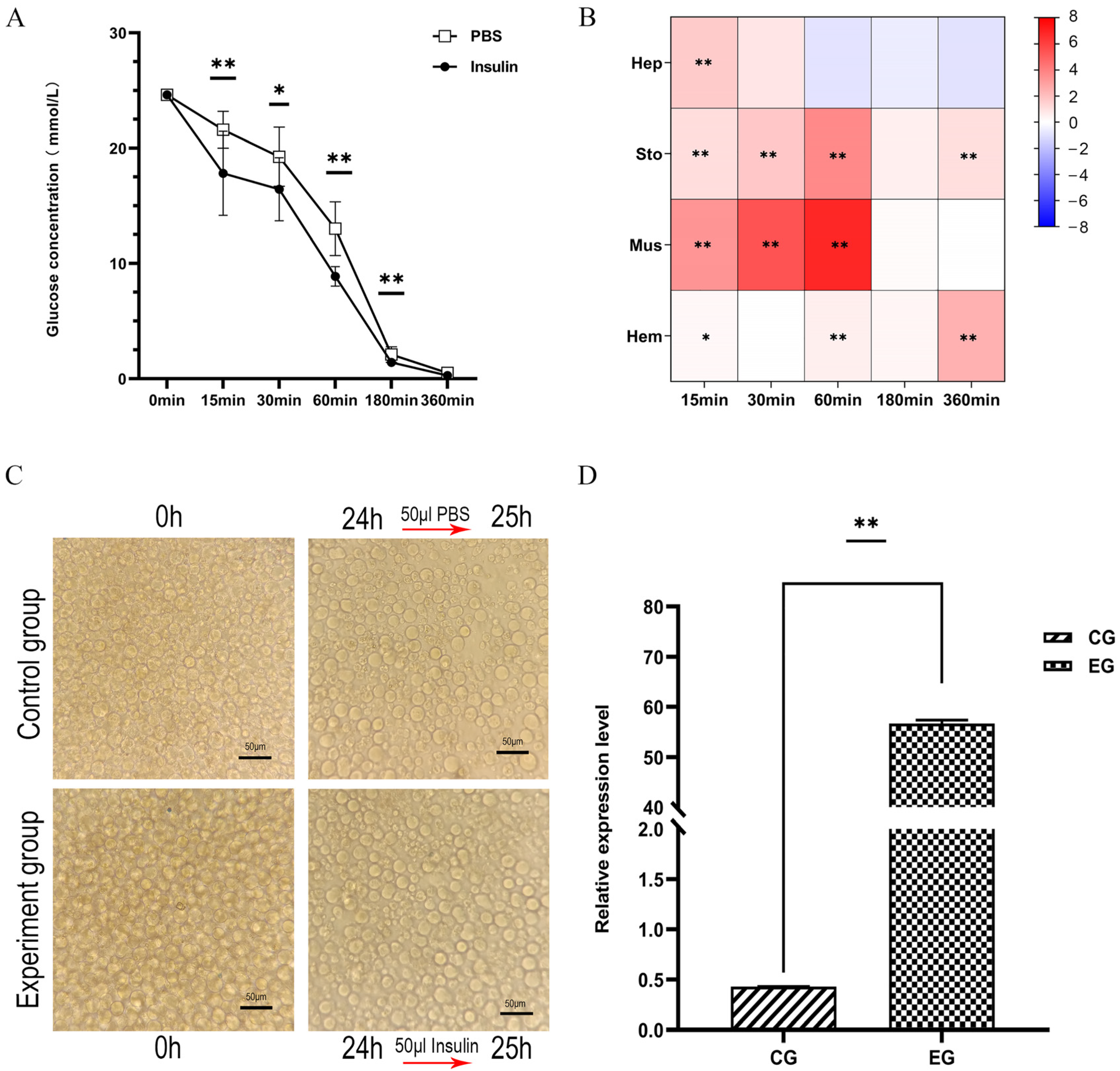 Biomolecules 14 01300 g006