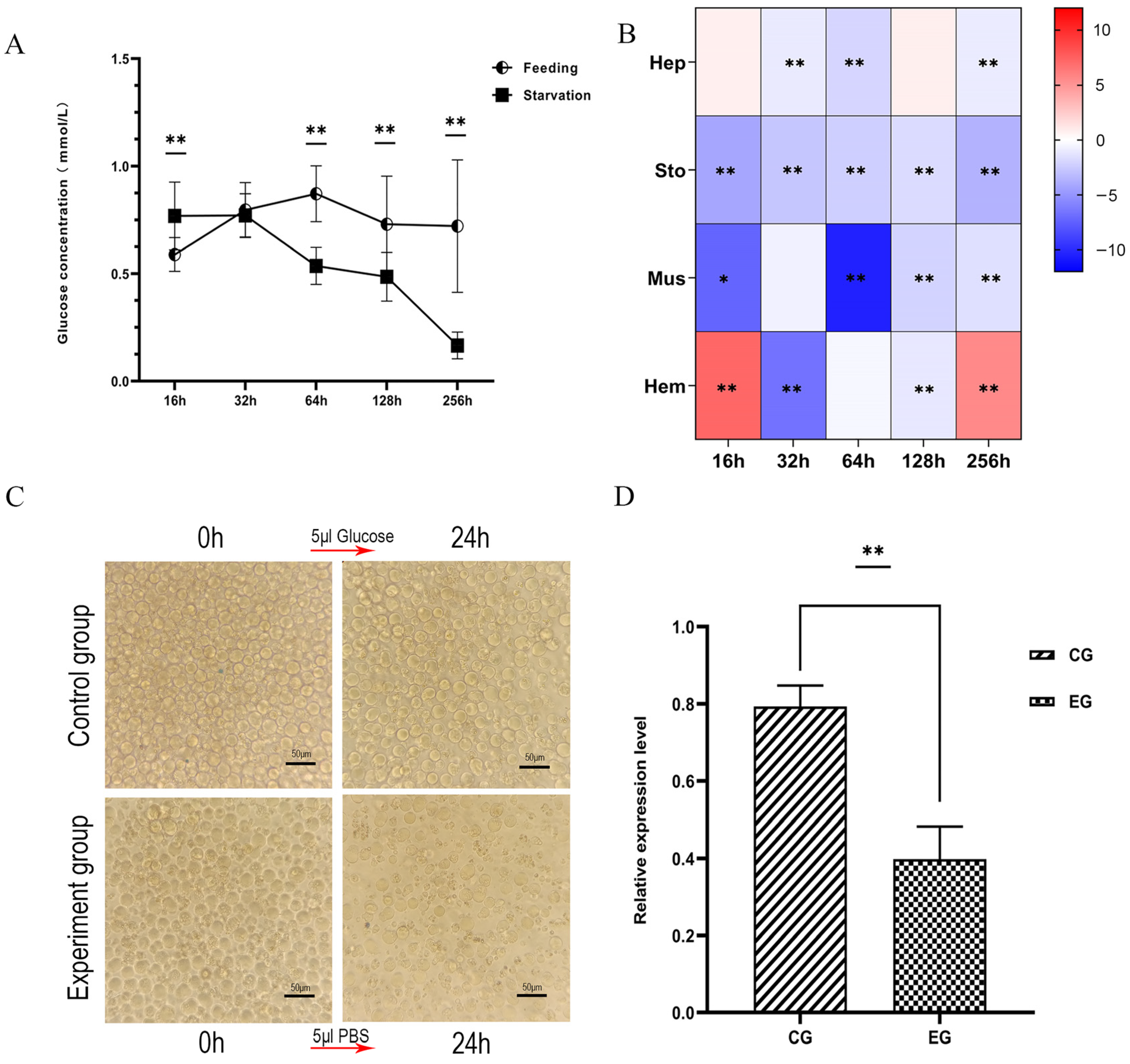 Biomolecules 14 01300 g007