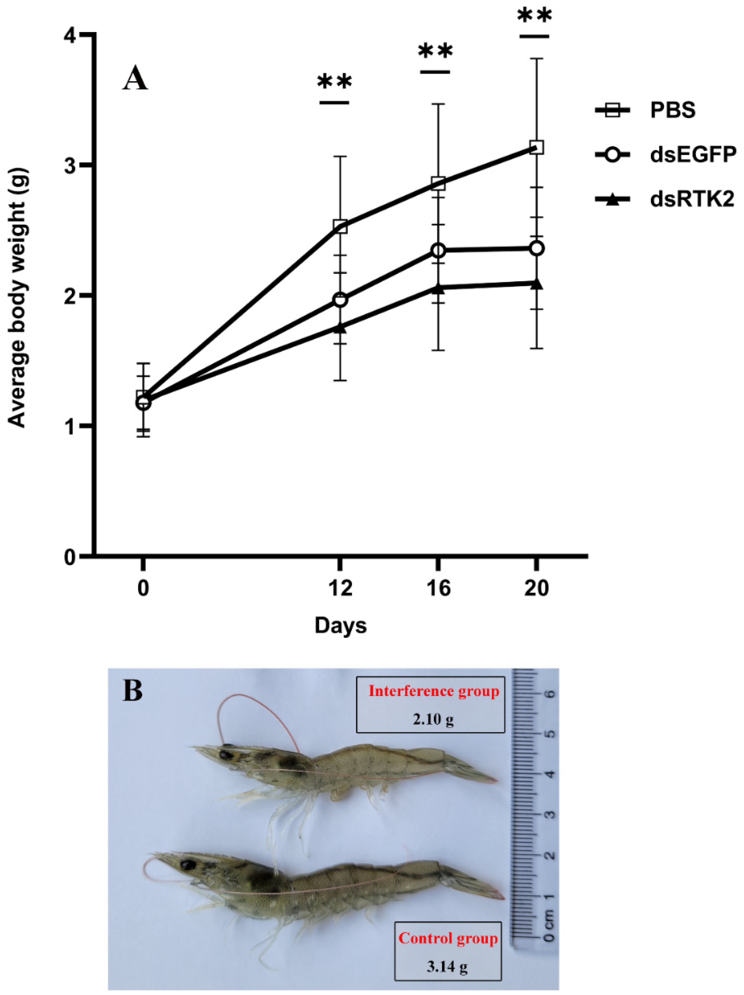 Biomolecules 14 01300 g008