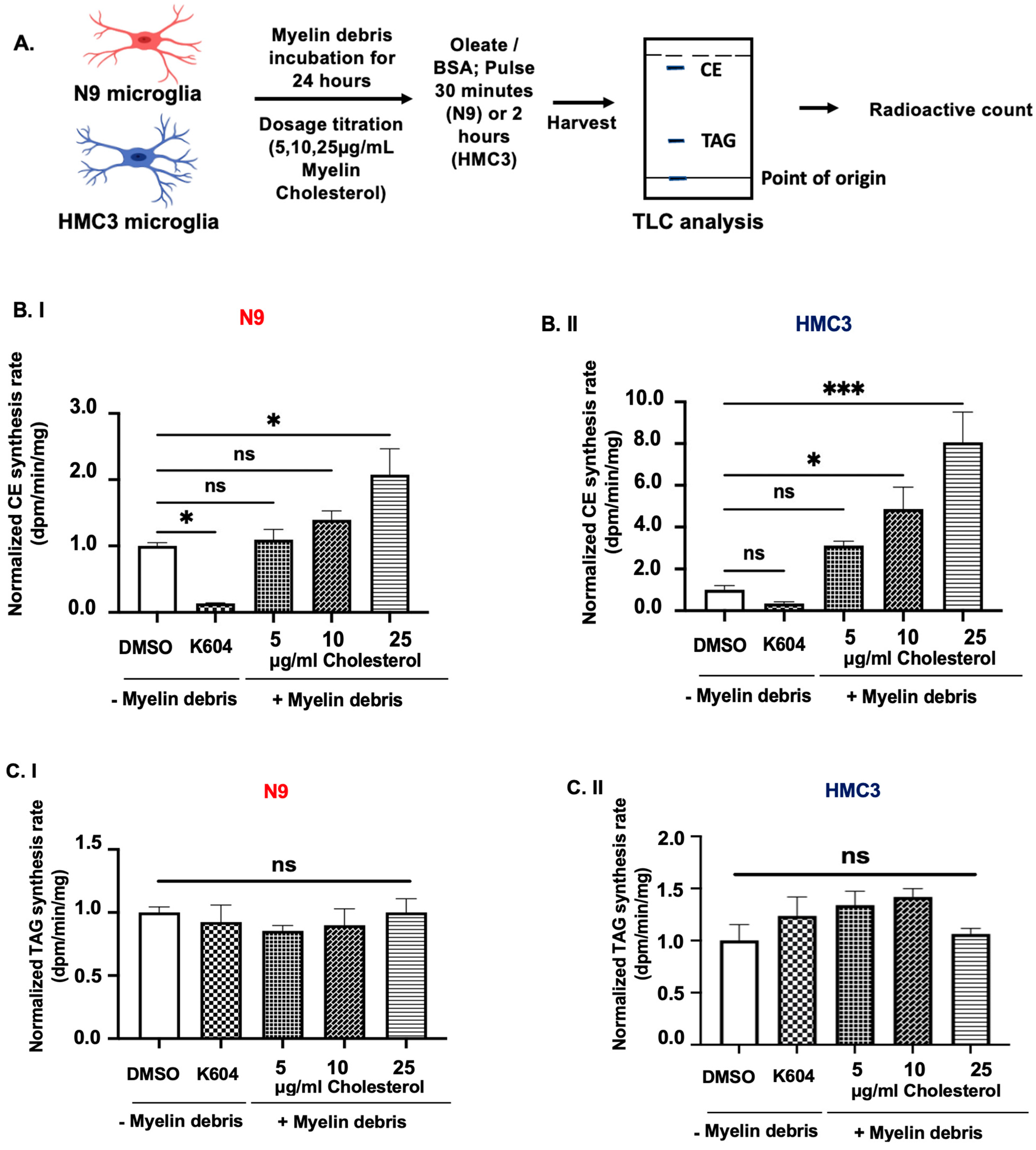 Biomolecules 14 01301 g002