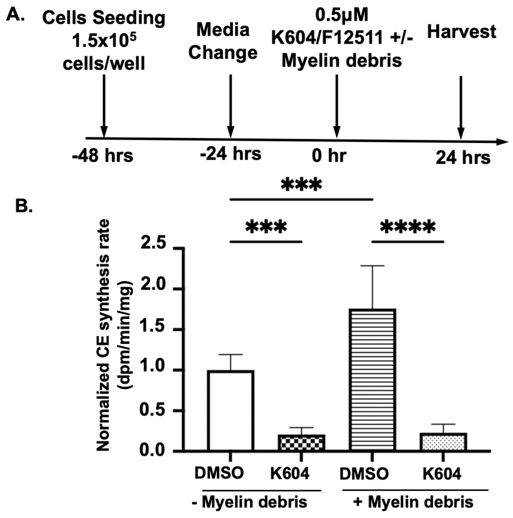Biomolecules 14 01301 g003a